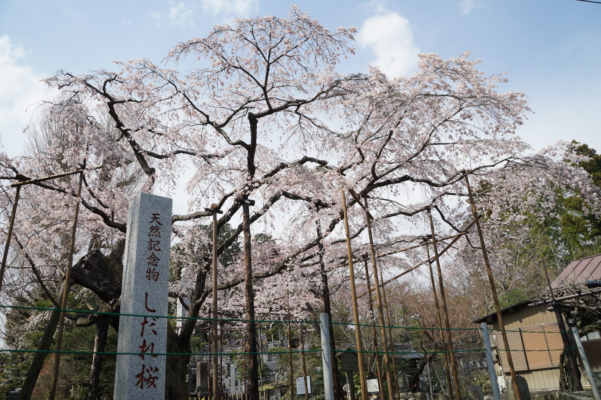 2020年3月22日(日)