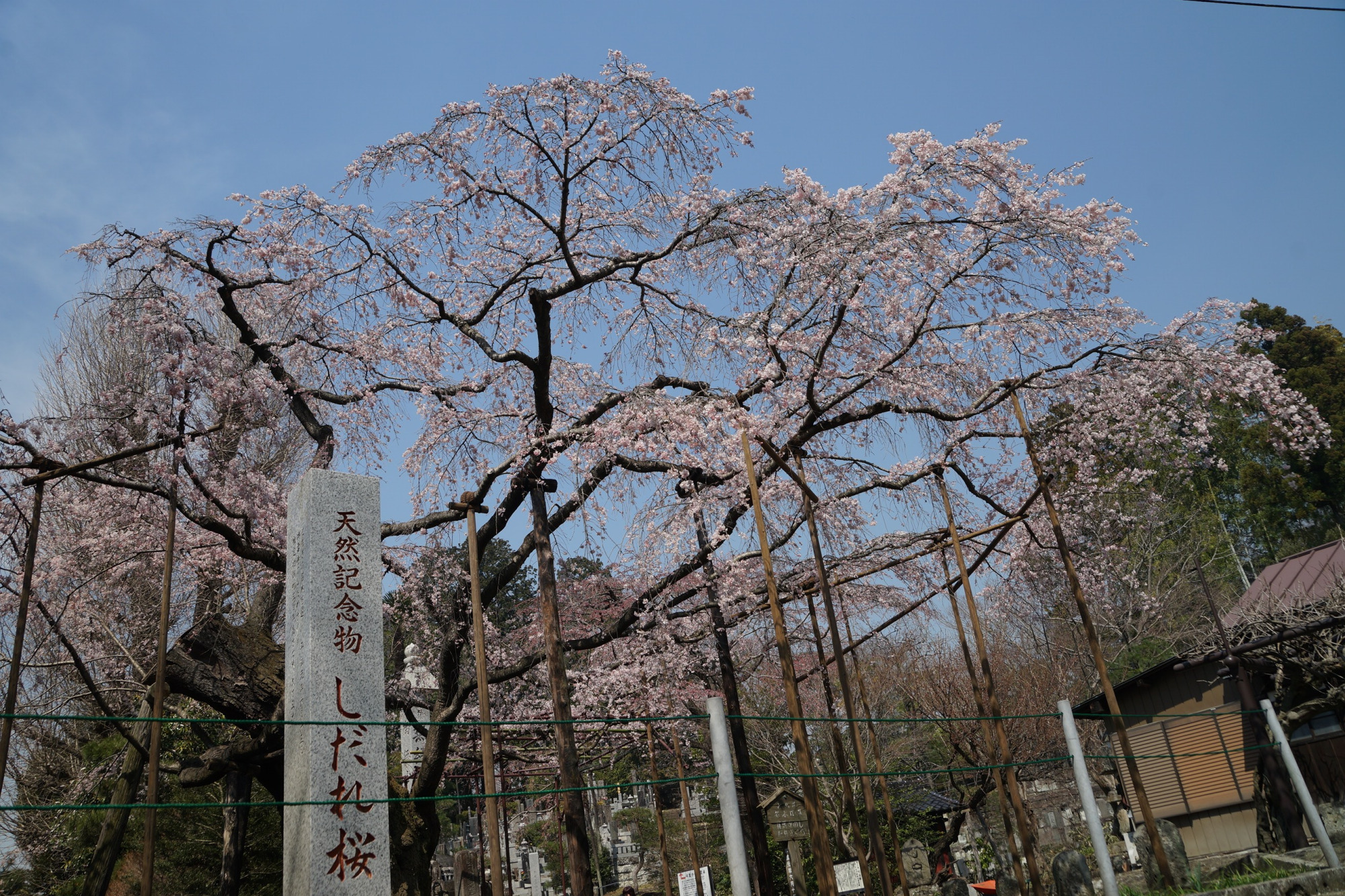 2020年3月21日(土)
