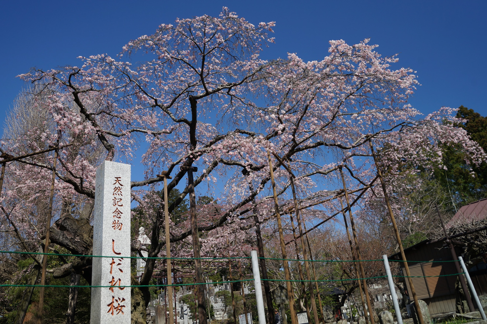 2020年3月20日(金)