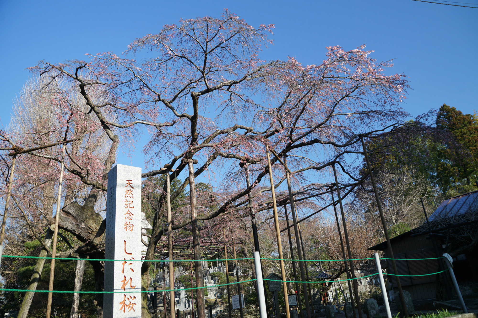 2020年3月18日(水)