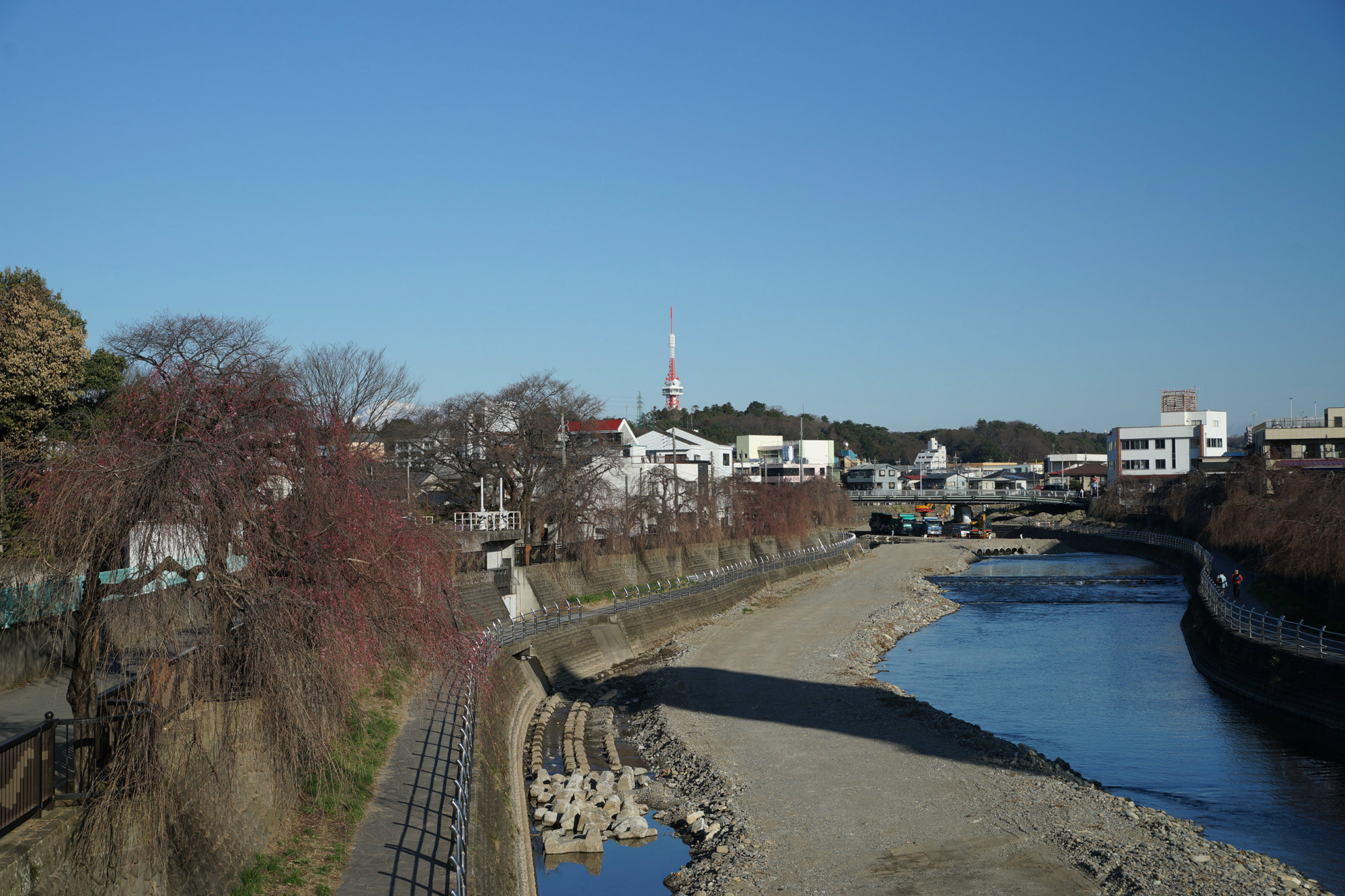2020年3月17日(火)