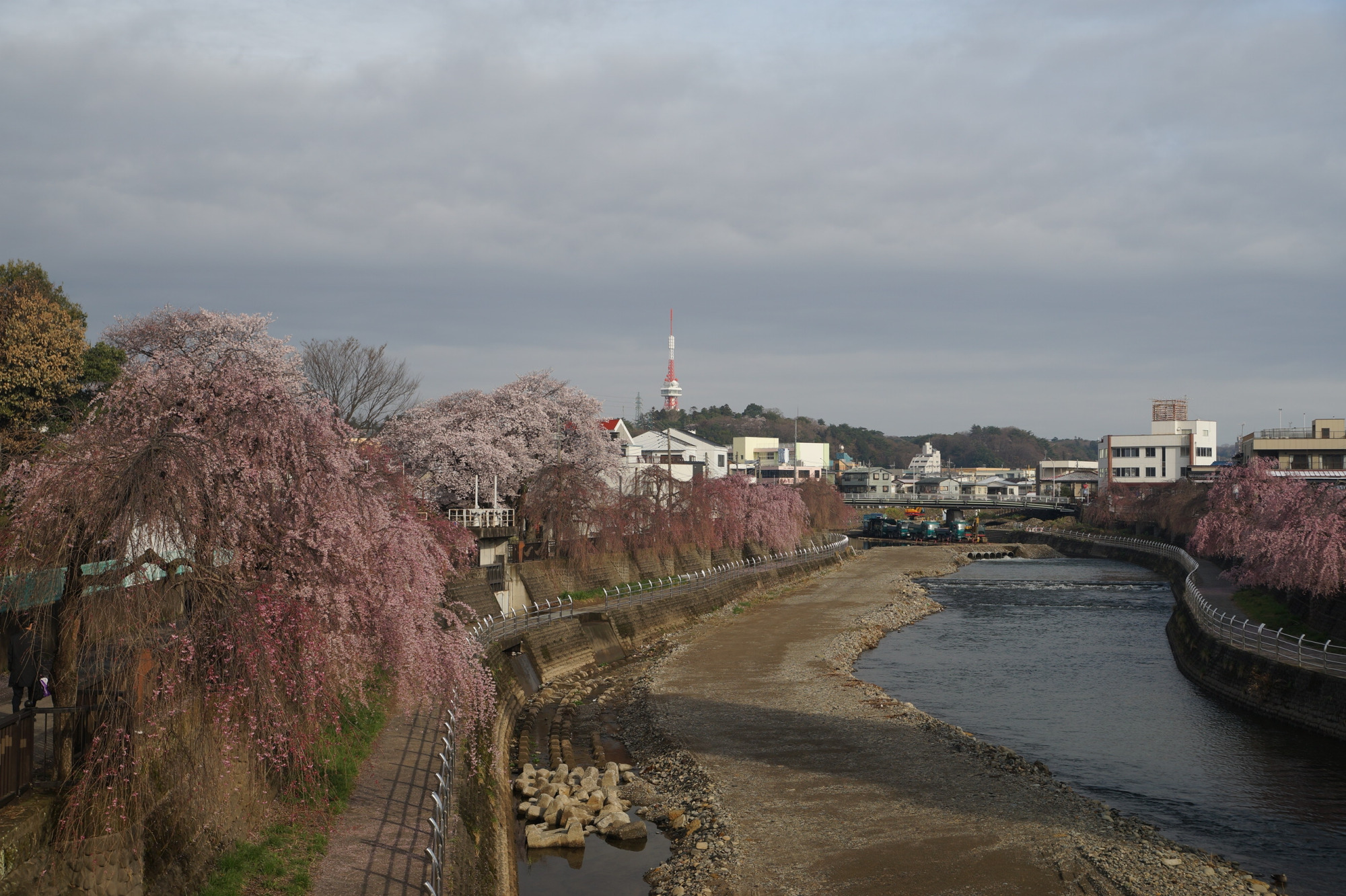 2020年3月30日(月)