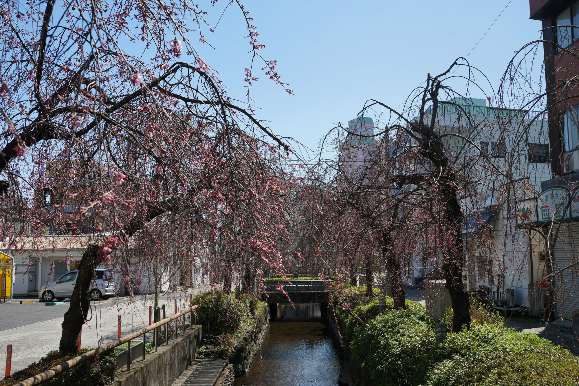 2020年3月17日(火)