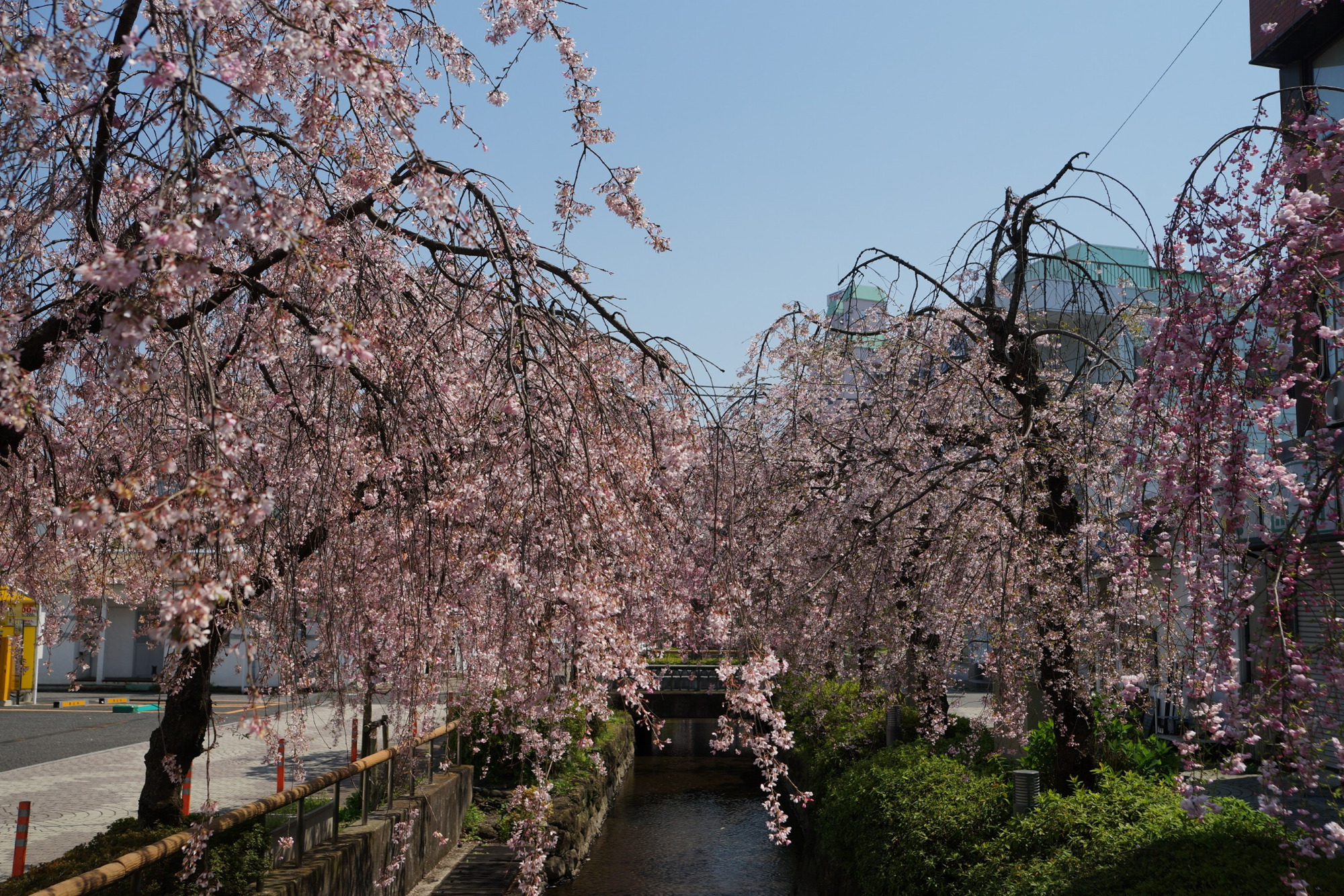 2020年4月3日(金)