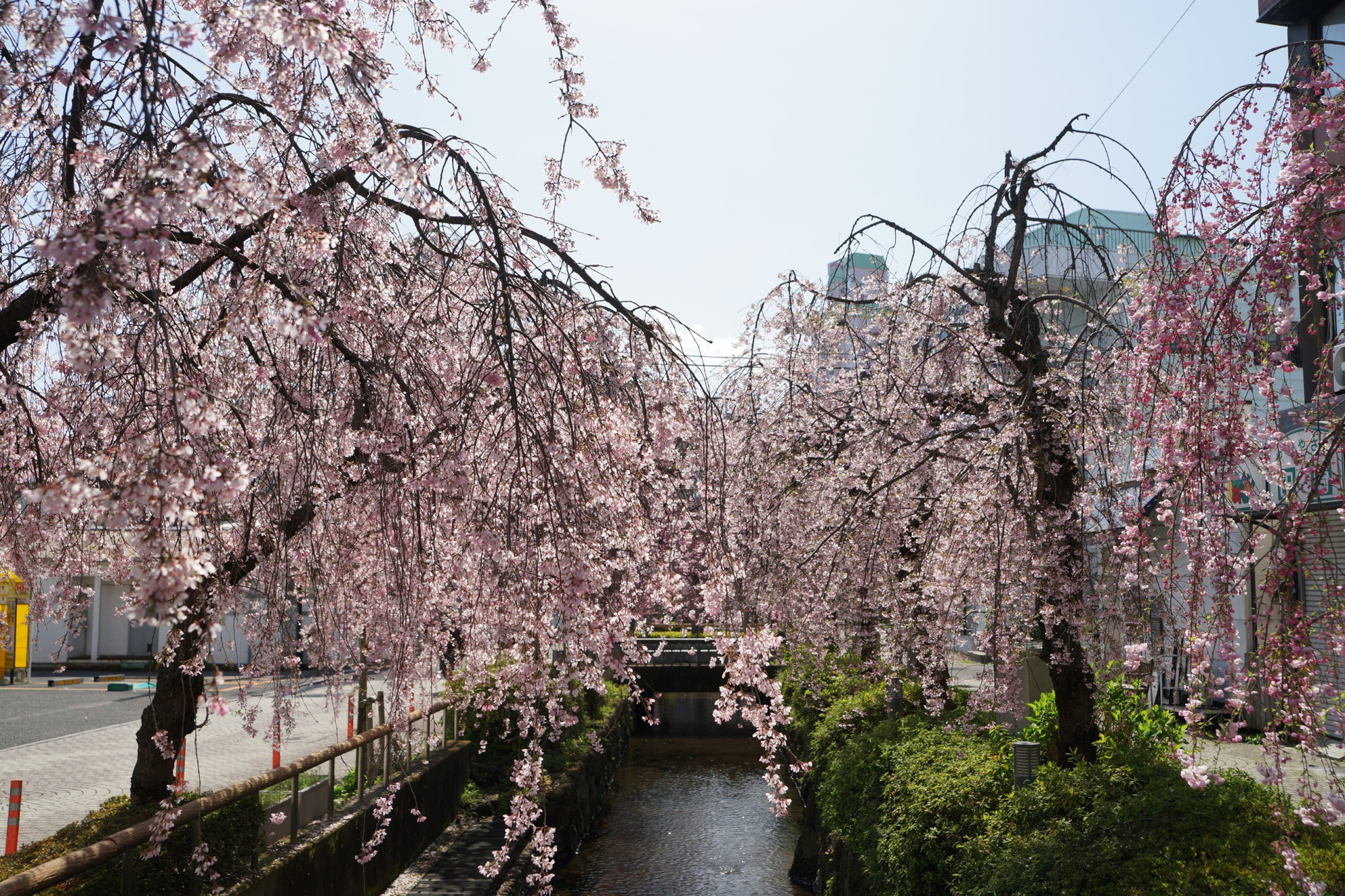 2020年4月2日(木)
