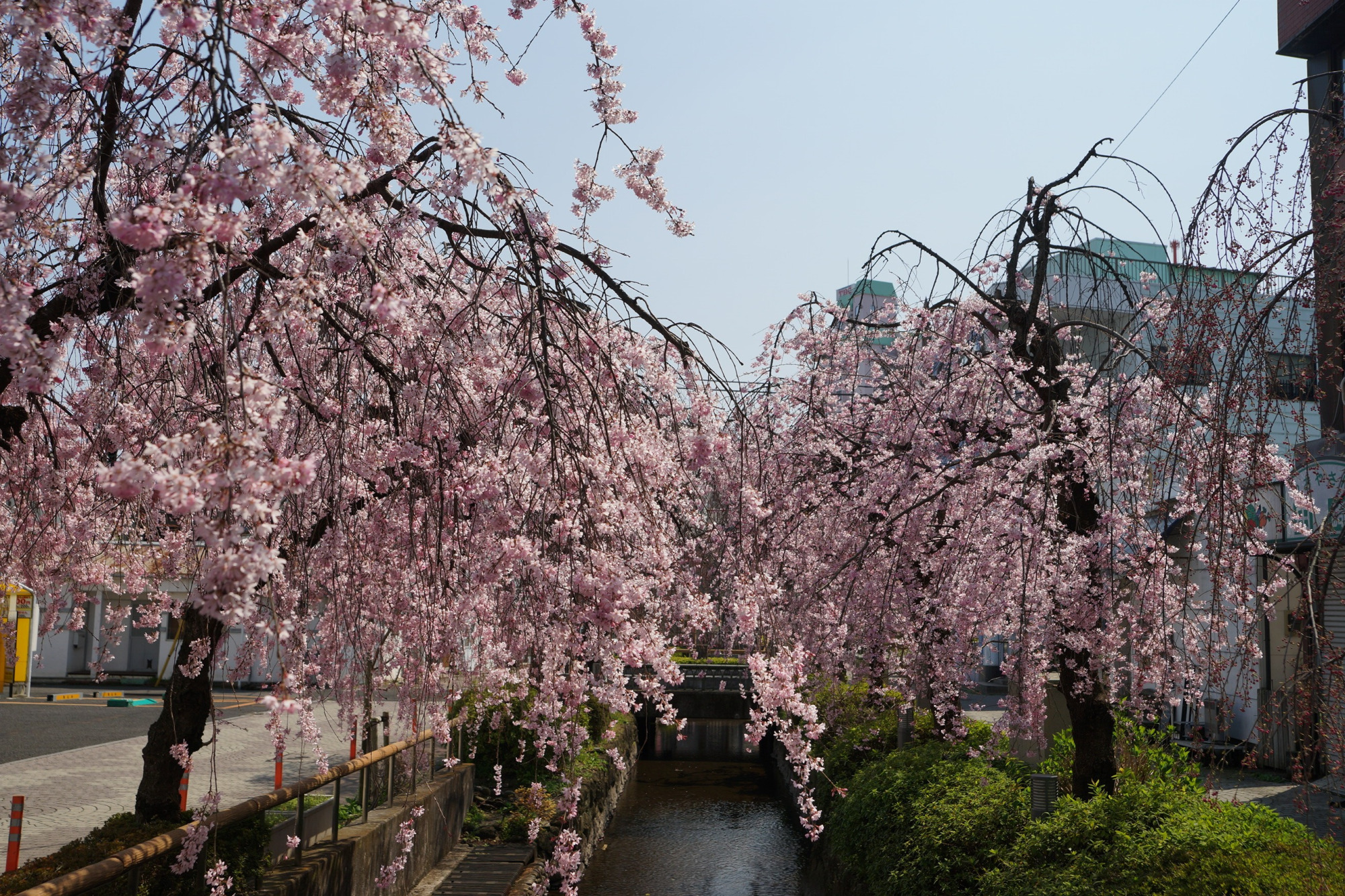 2020年3月26日(木)