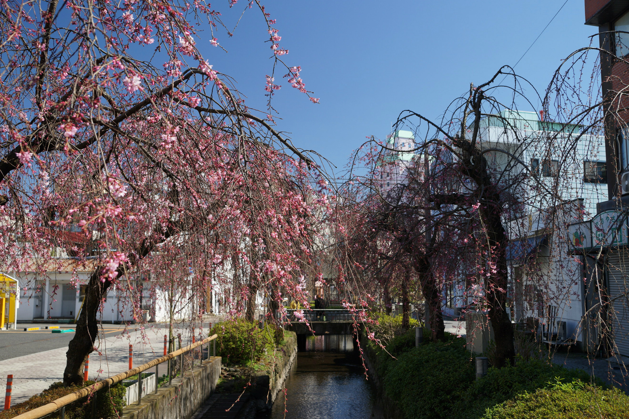 2020年3月18日(水)