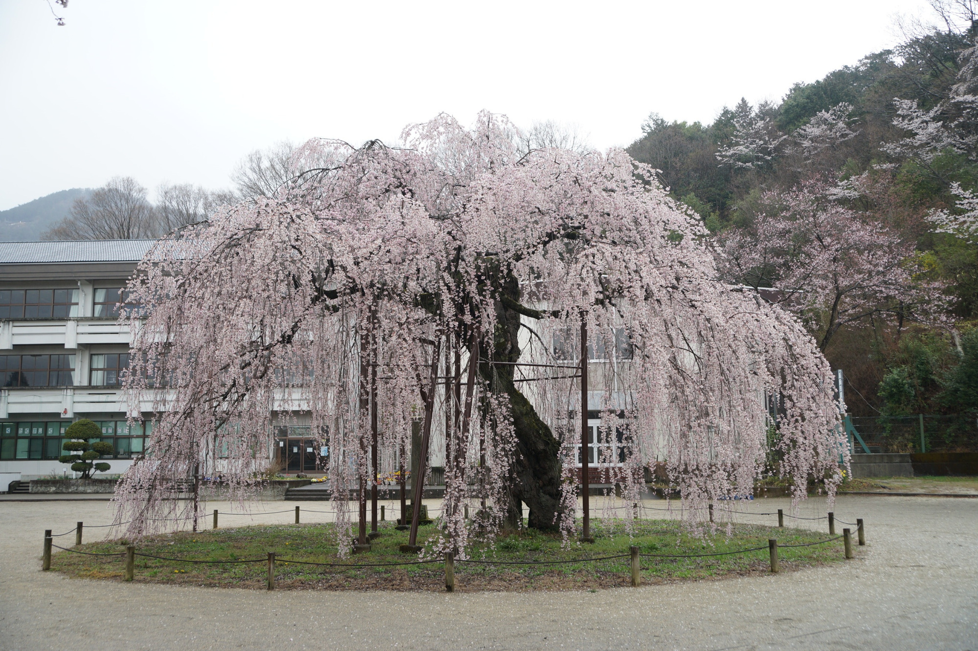 2020年4月1日(水)