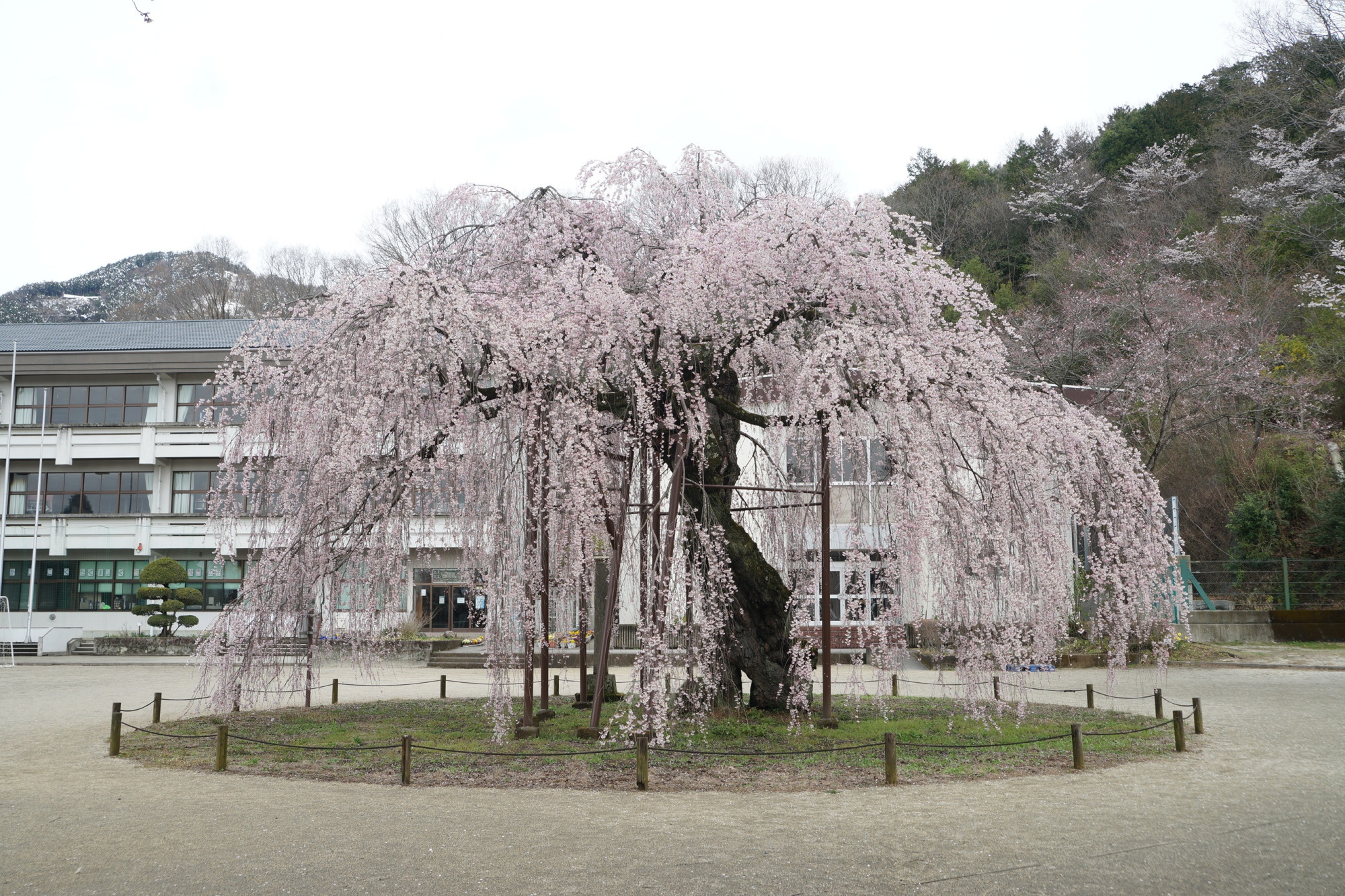 2020年3月30日(月)