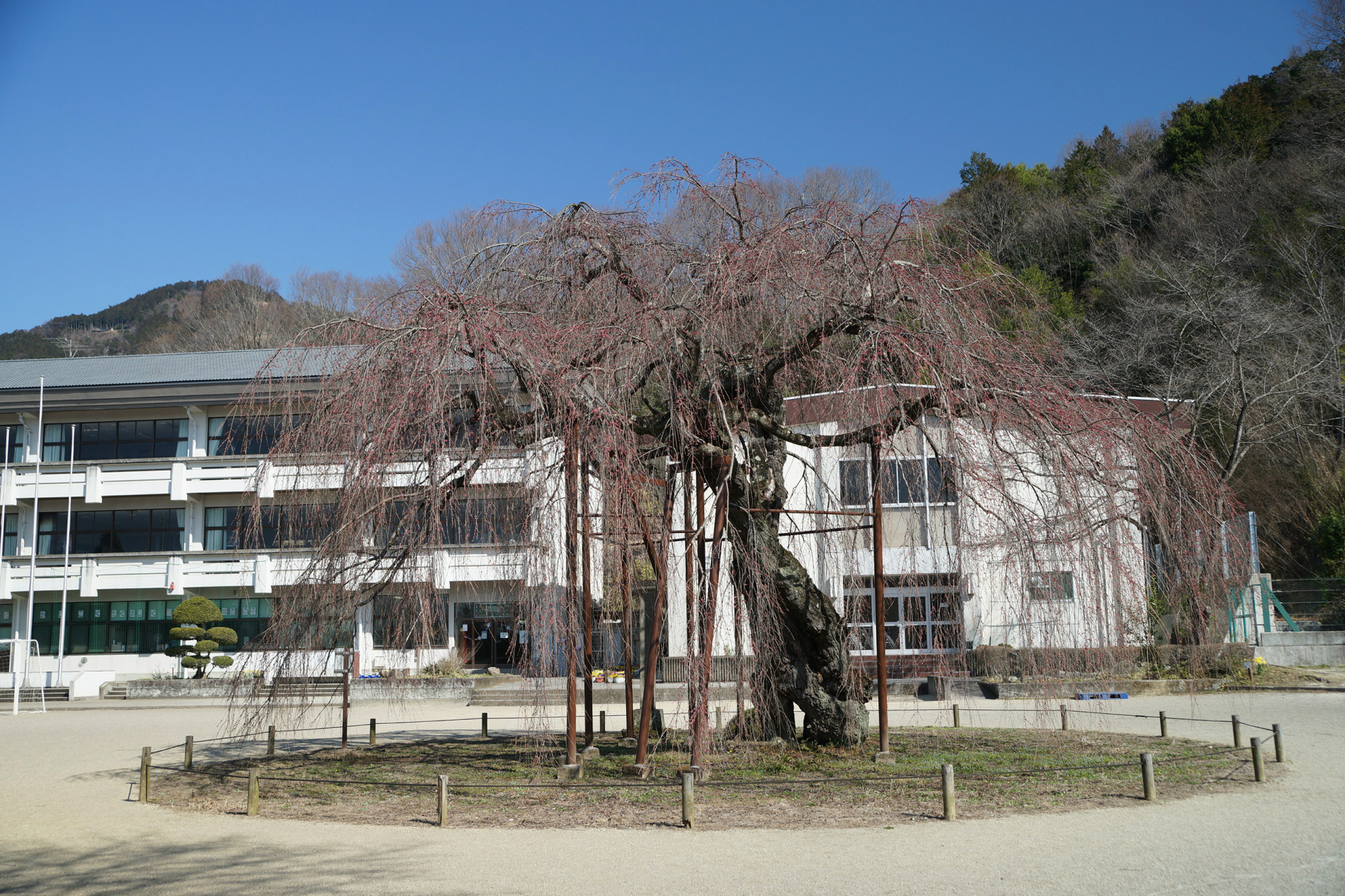 2020年3月19日(木)