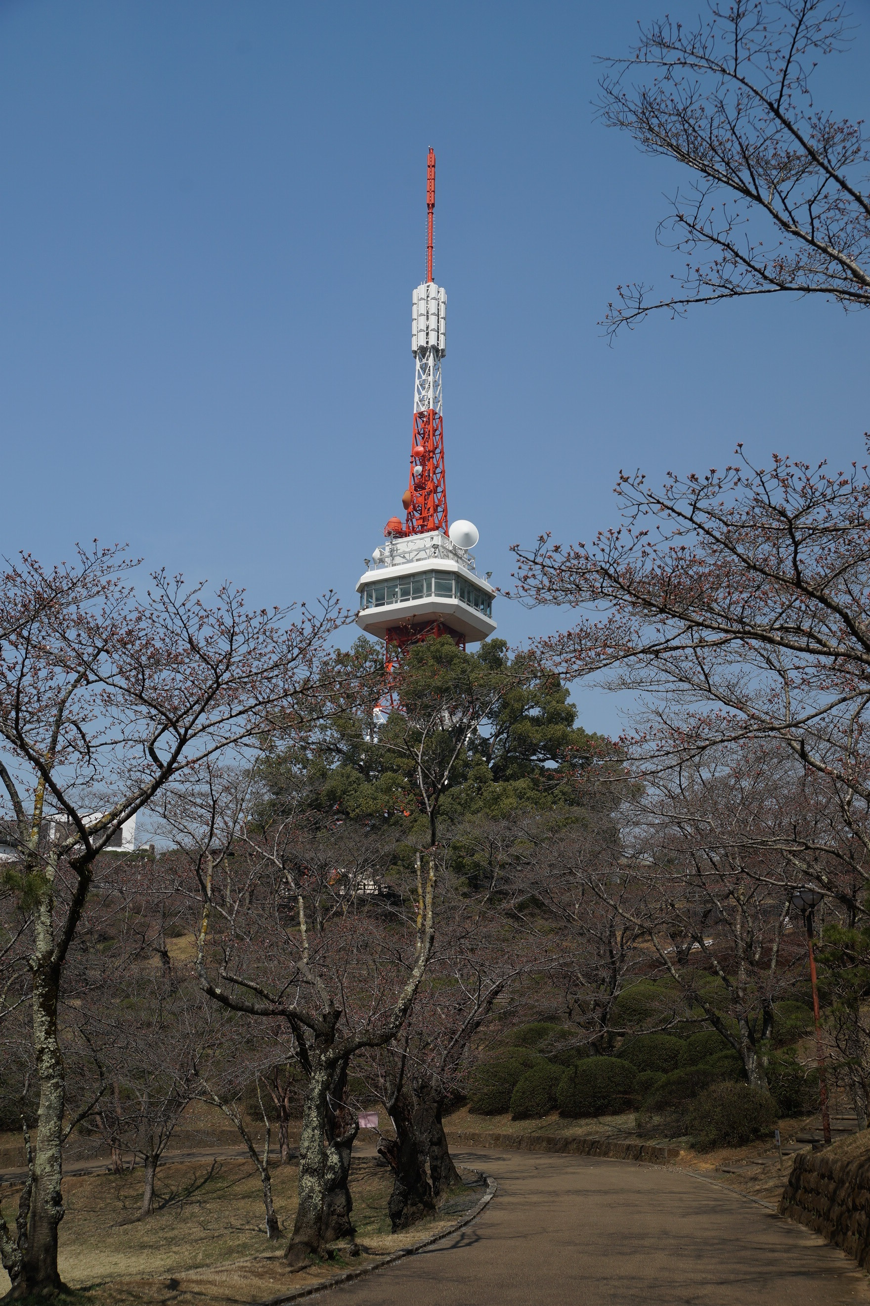 2020年3月21日(土)