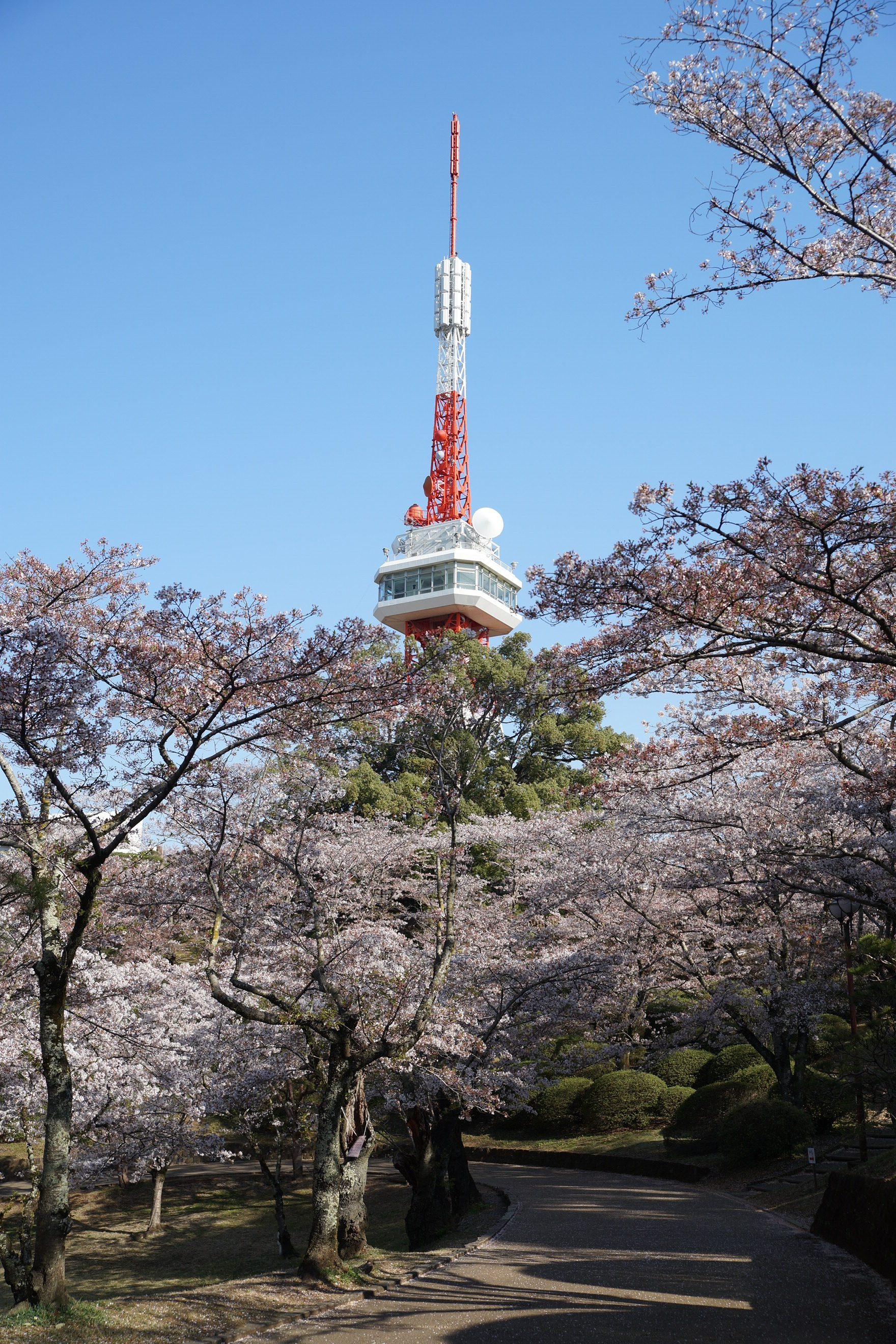 2020年4月9日(木)