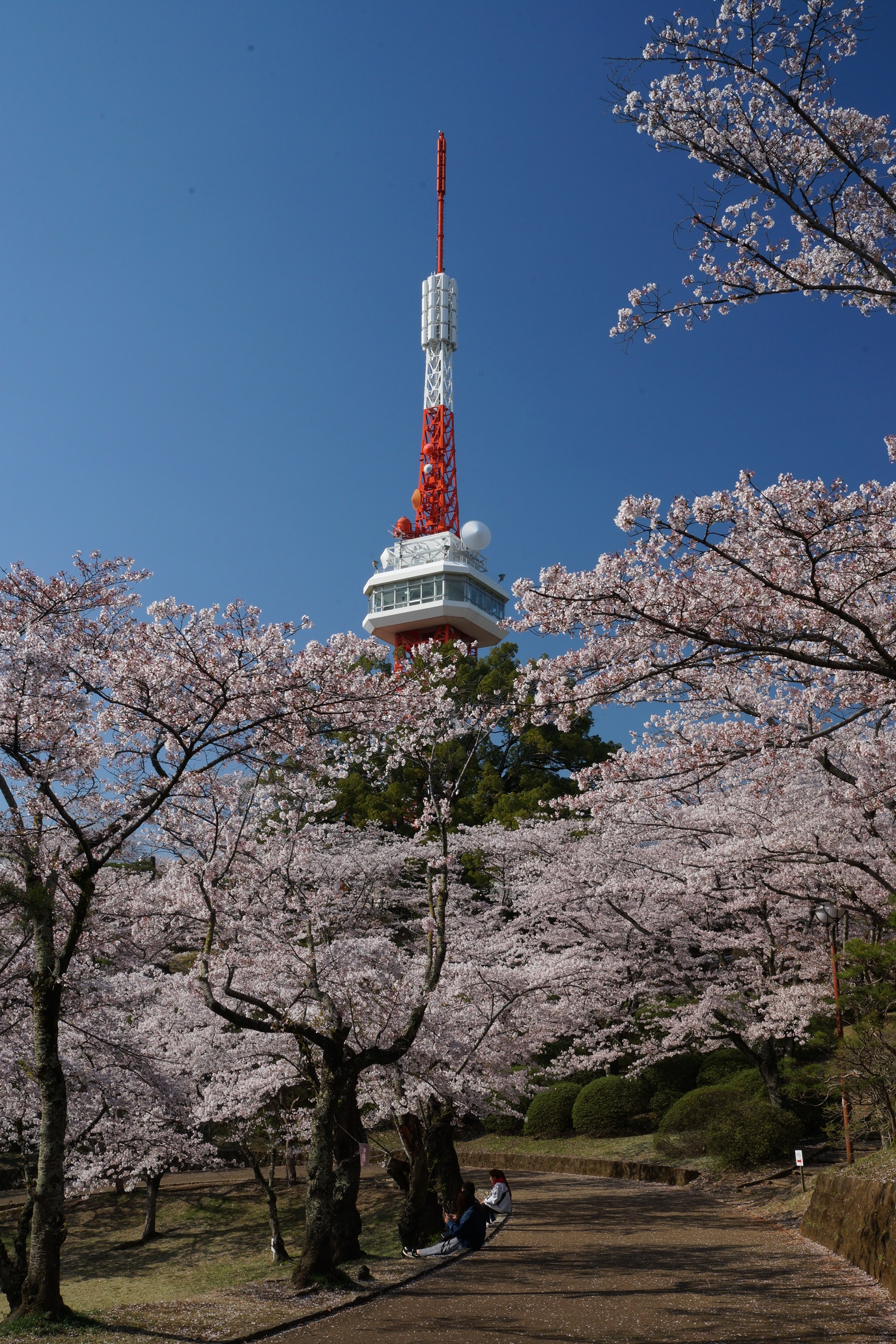 2020年4月5日(日)