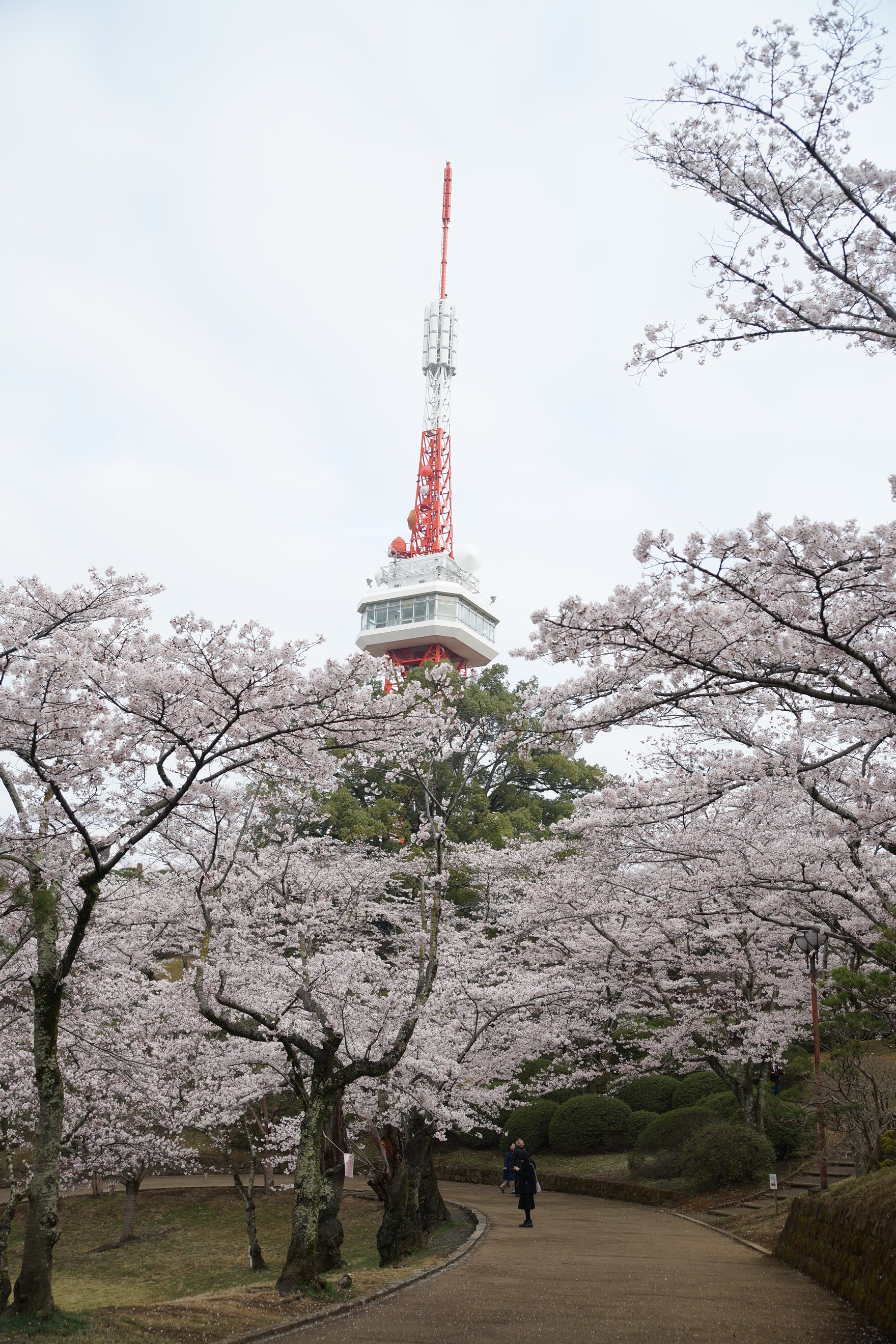 2020年3月31日(火)