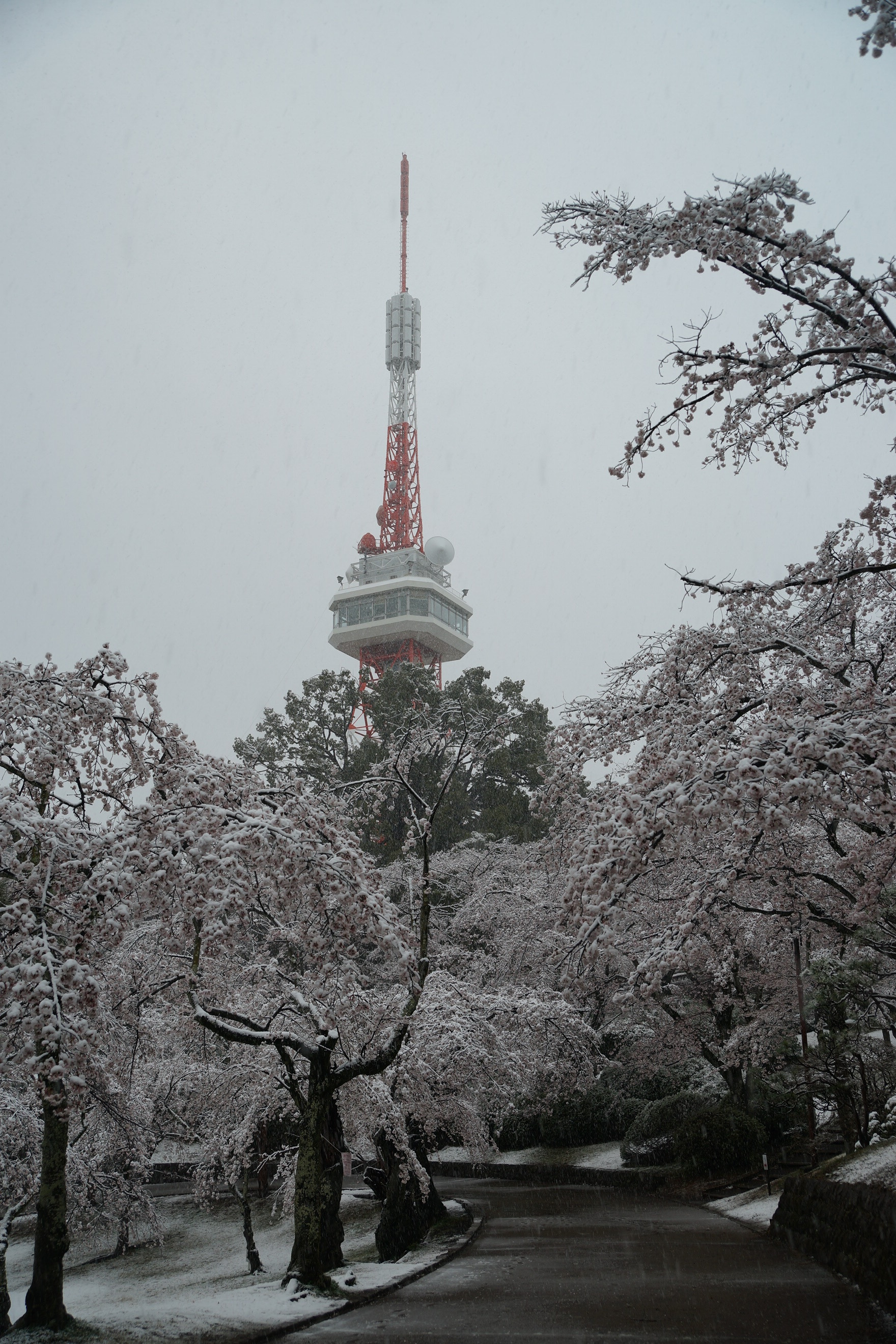 2020年3月29日(日)