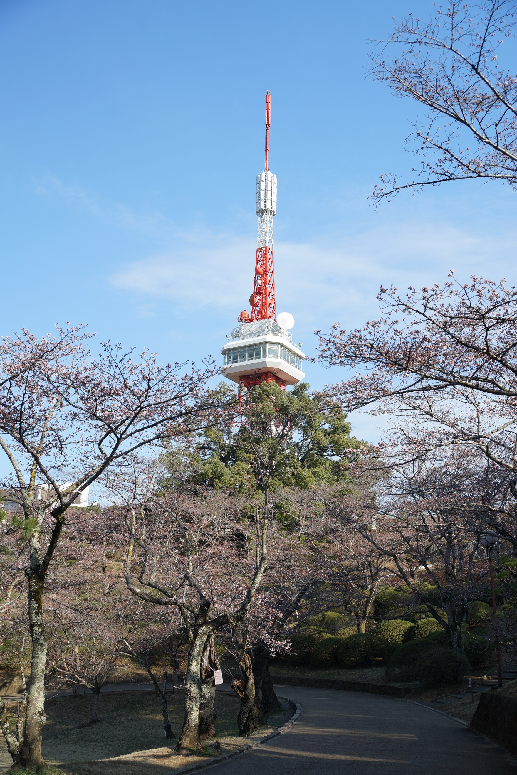 2020年3月23日(月)