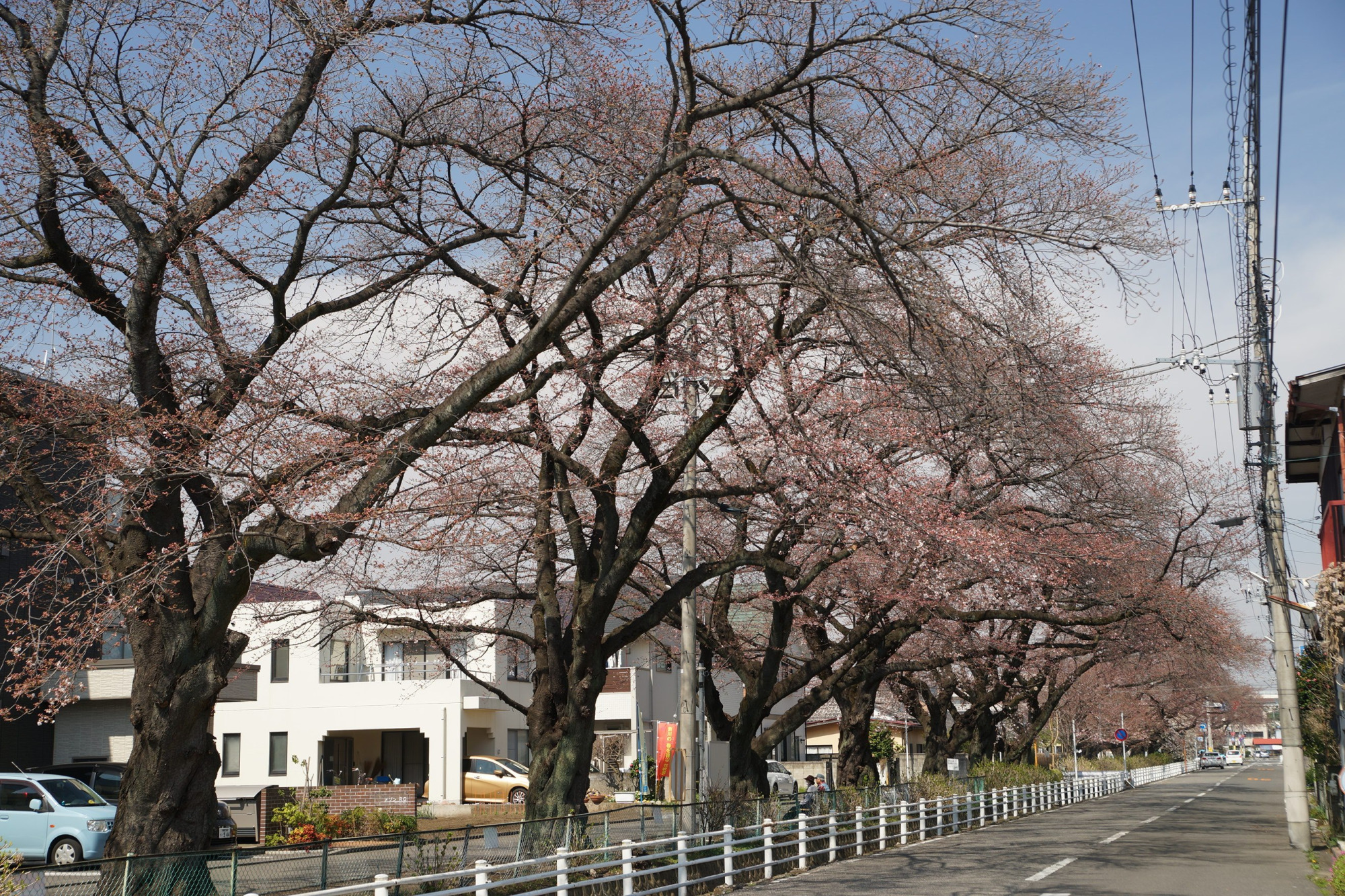 2020年3月21日(土)