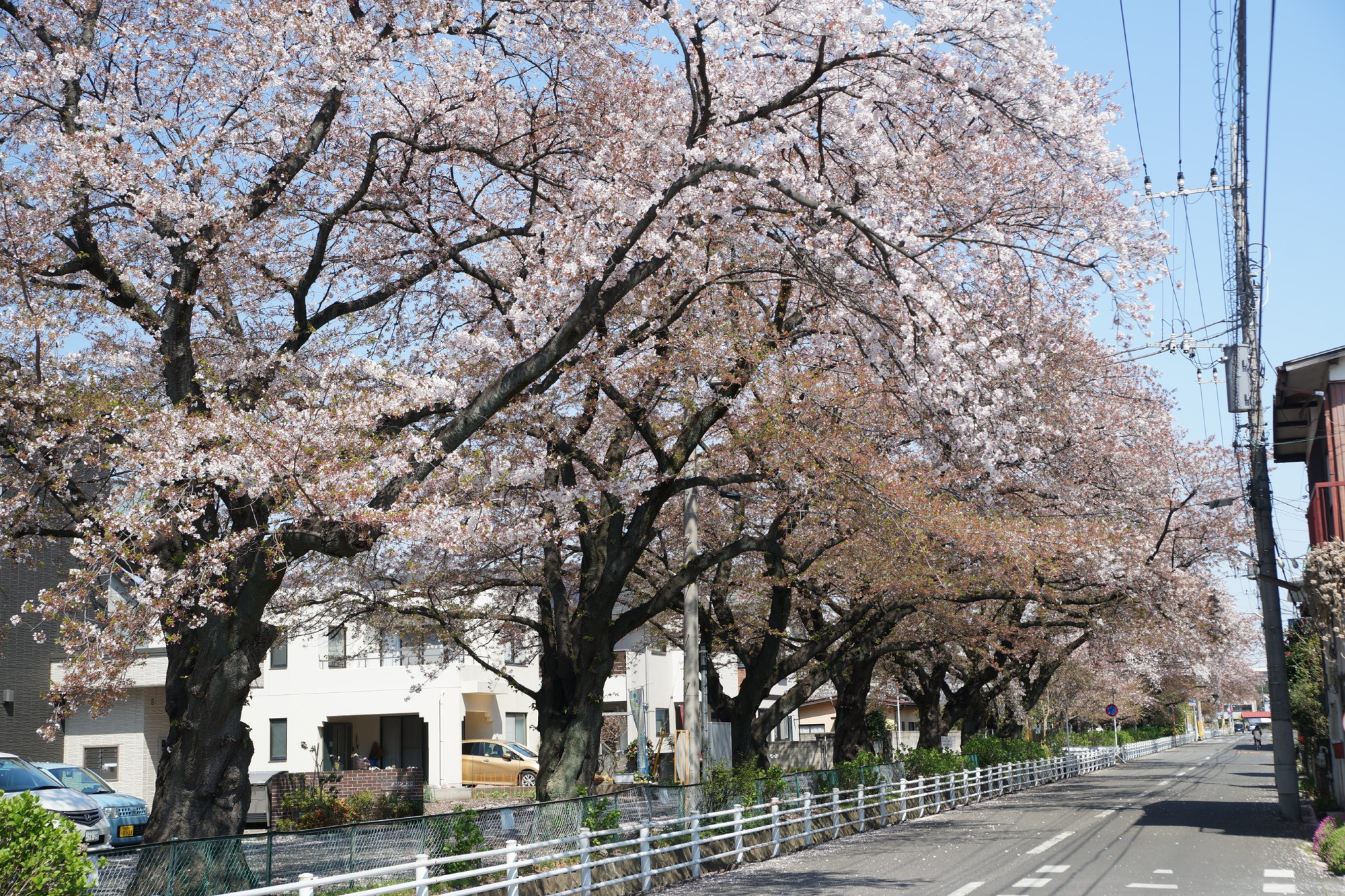 2020年4月9日(木)