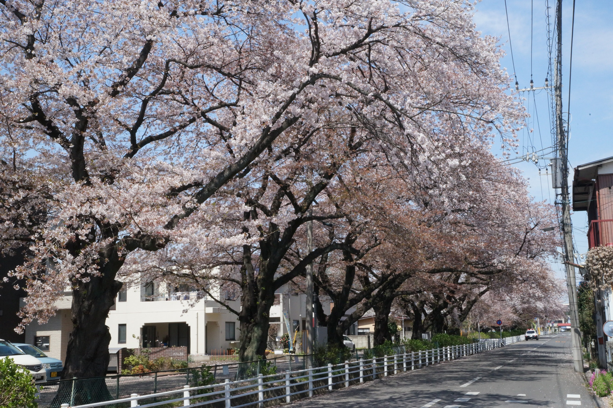 2020年4月7日(火)