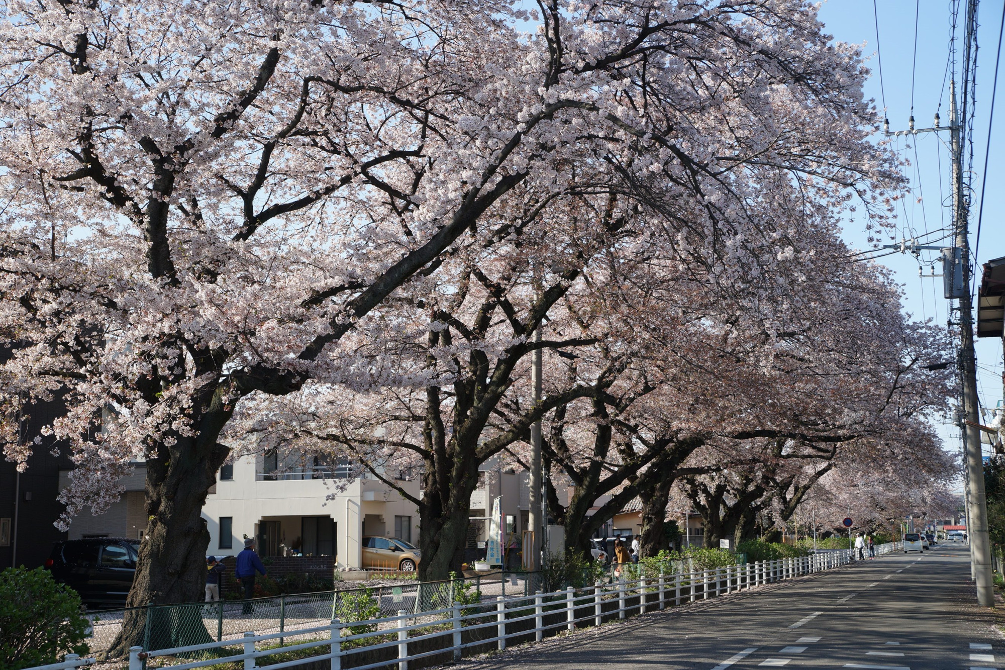 2020年4月5日(日)