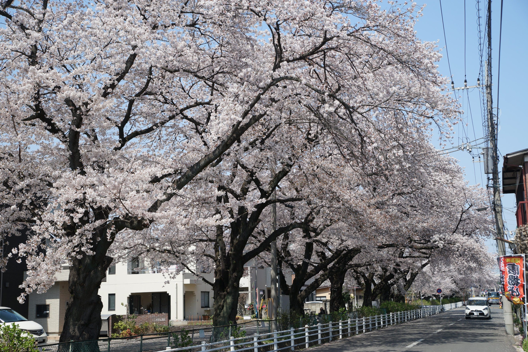 2020年4月3日(金)