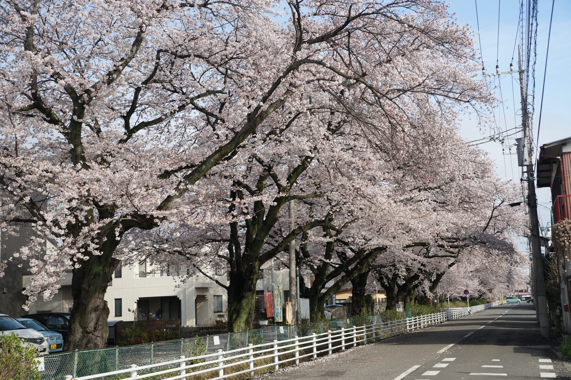 2020年3月30日(月)