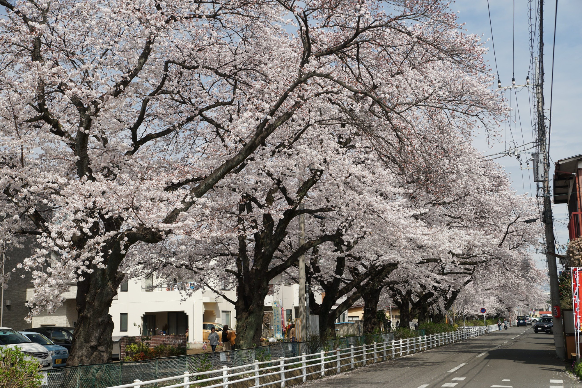 2020年3月28日(土)