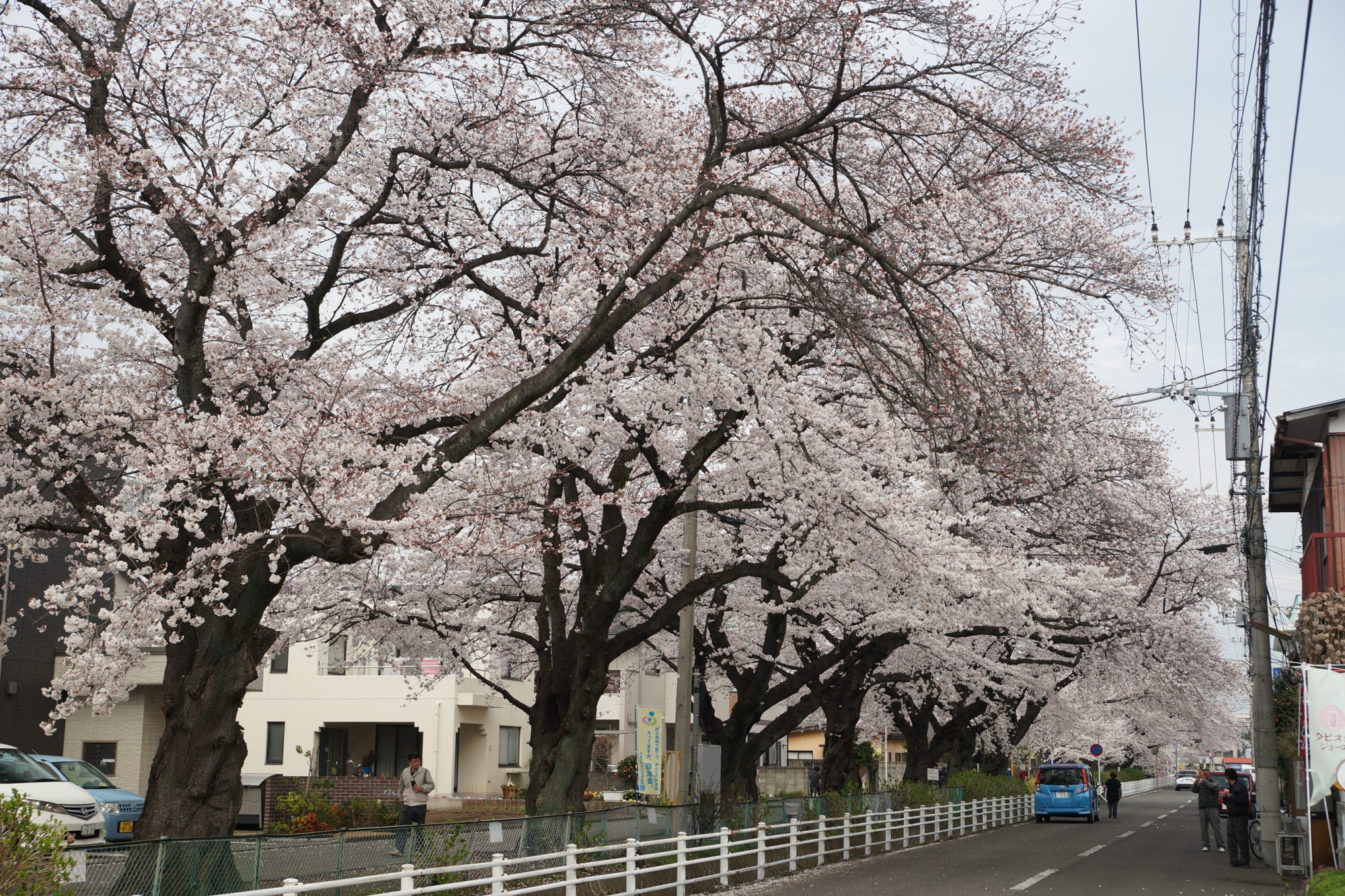 2020年3月27日(金)