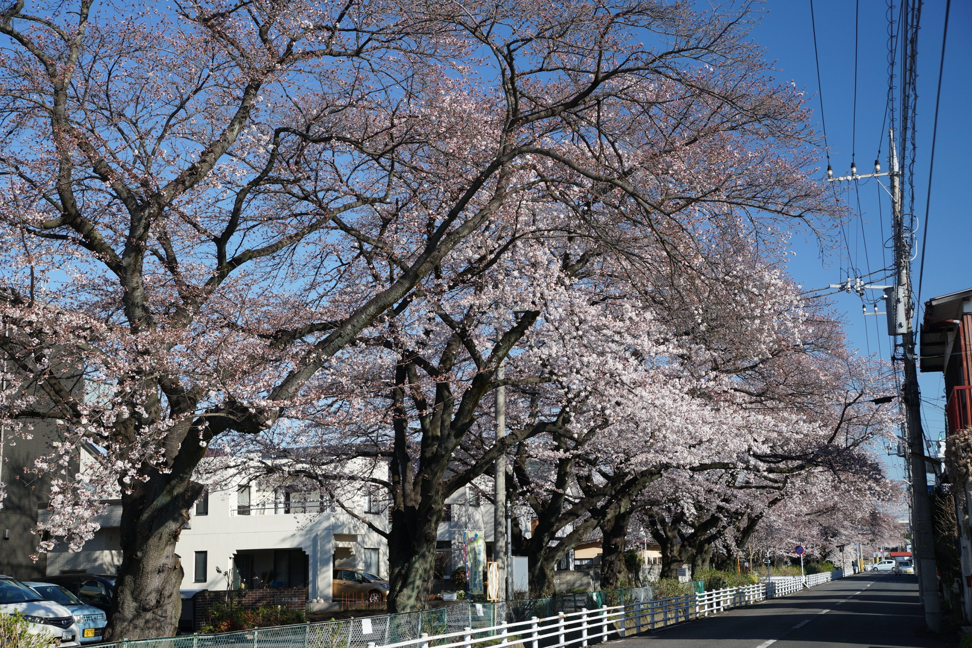 2020年3月24日(火)