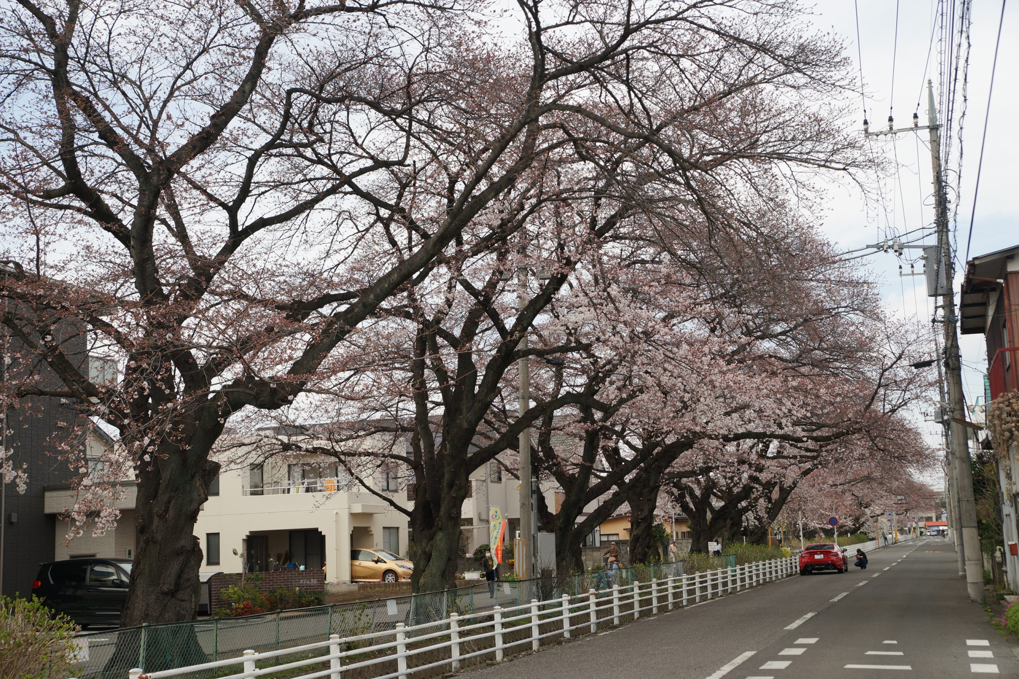 2020年3月22日(日)