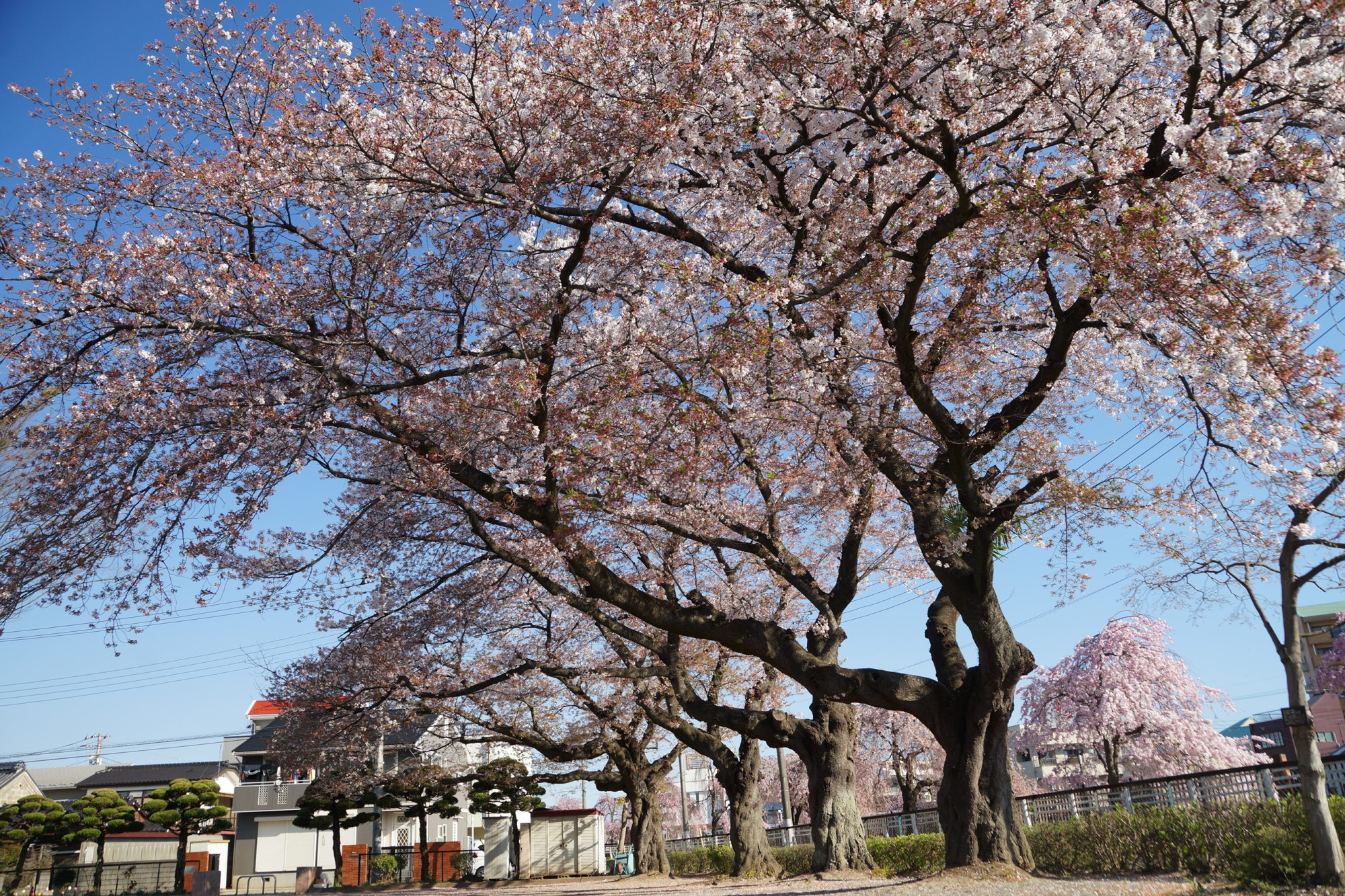 2020年4月9日(木)