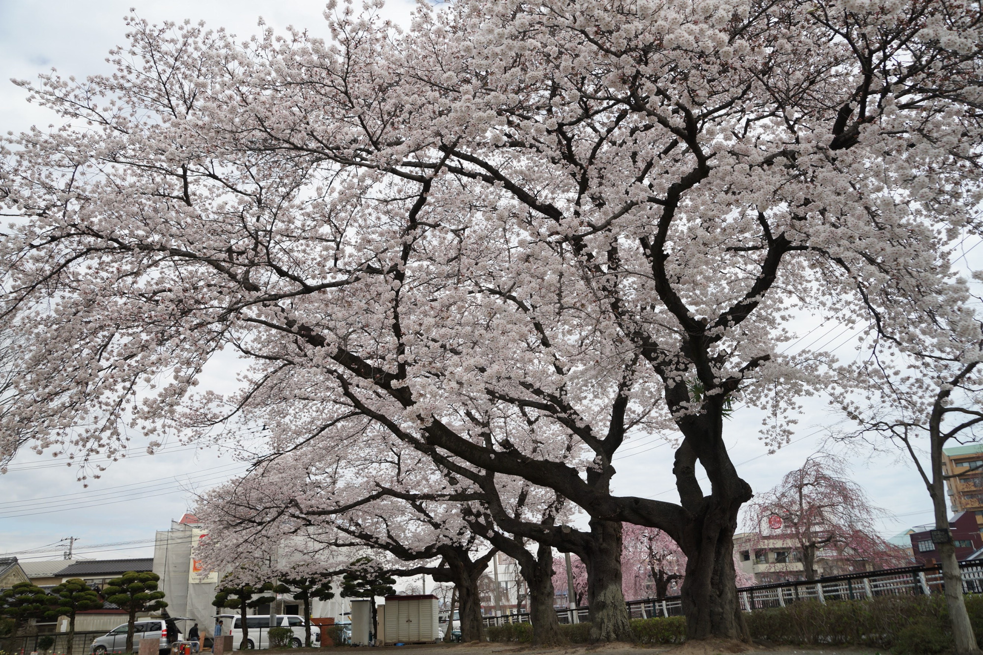 2020年3月28日(土)