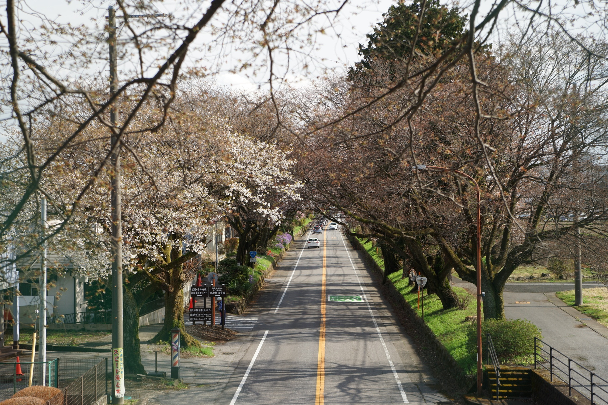 2020年3月29日(日)更新