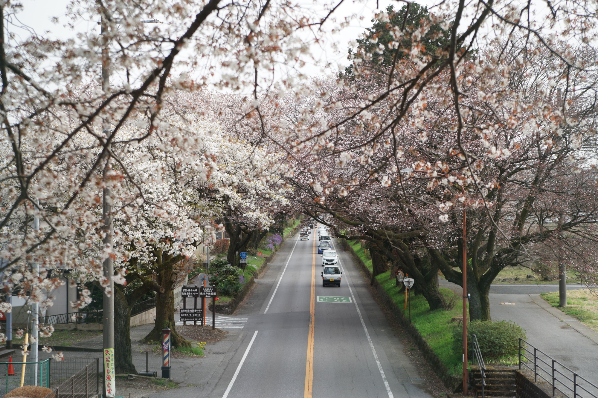 2020年4月1日(水)更新