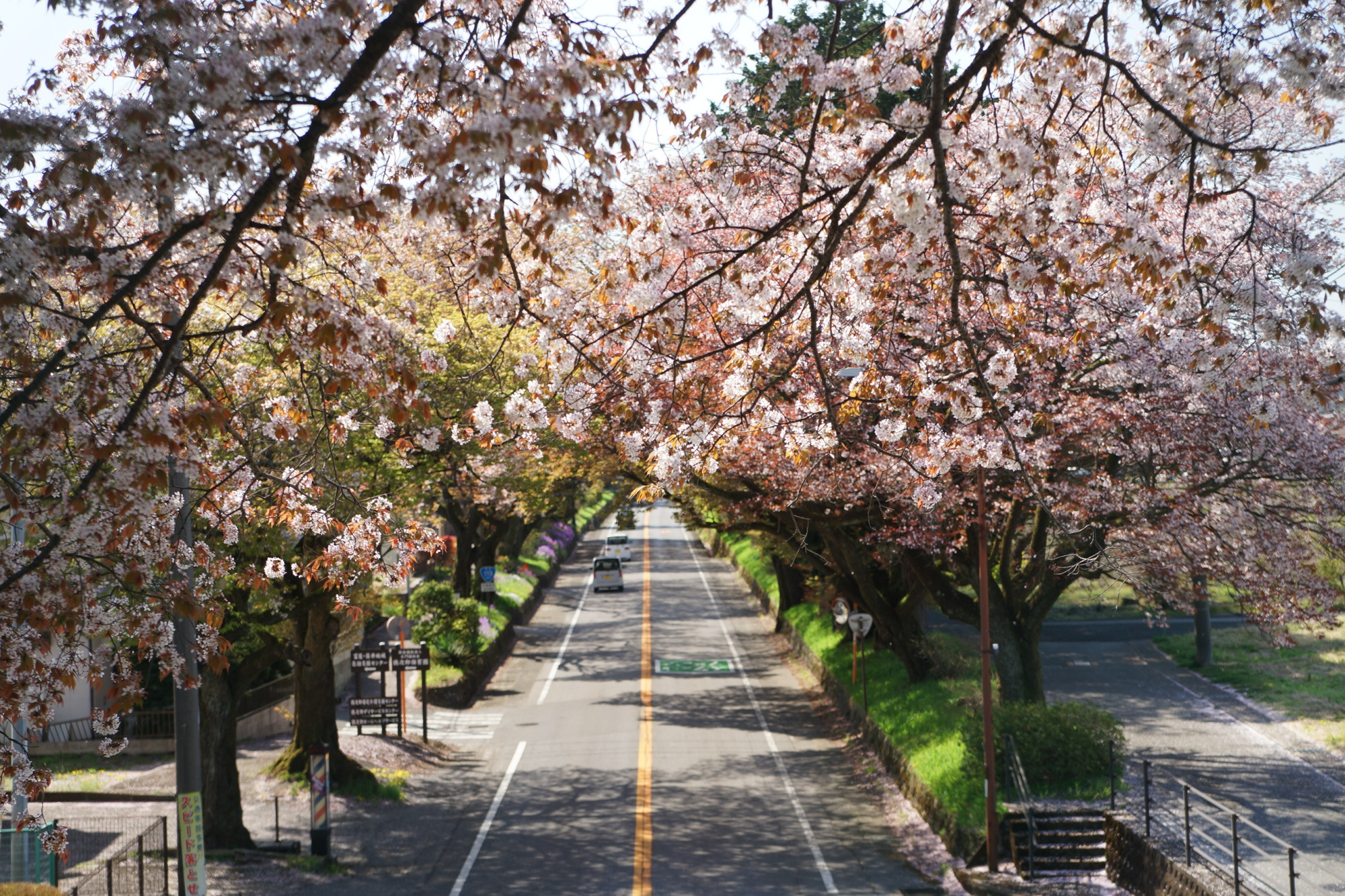2020年4月7日(火)更新