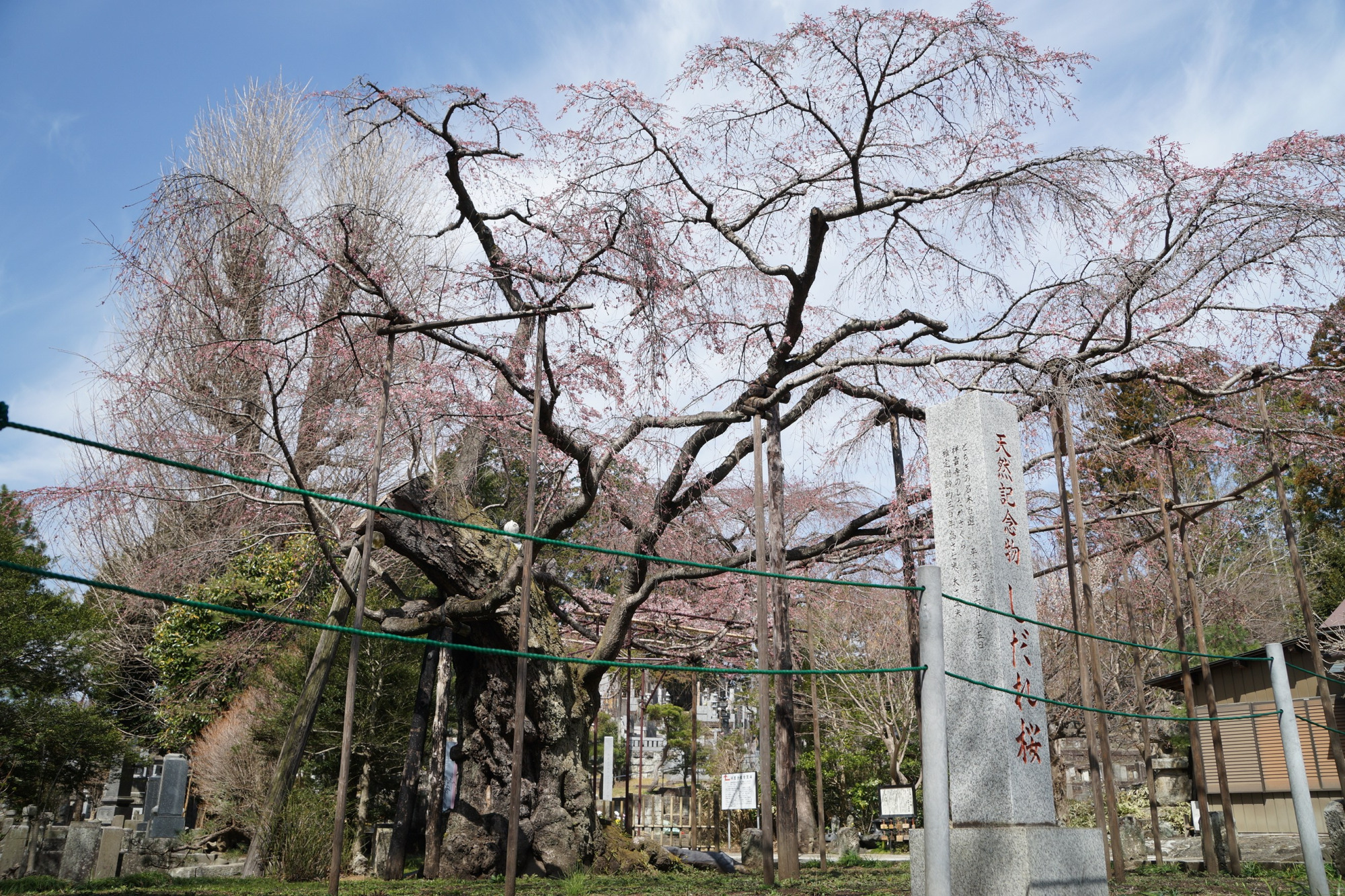 2021年3月18日（木）