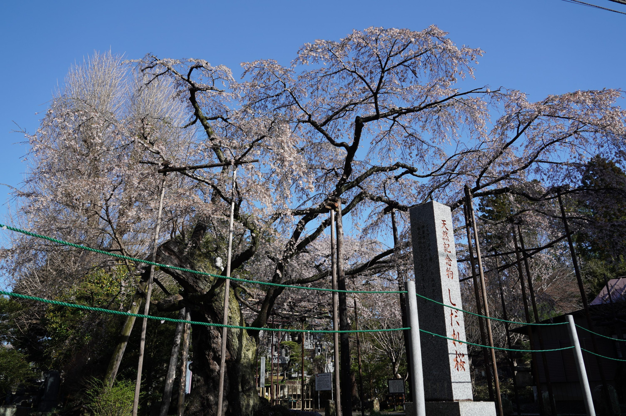 2021年3月29日（月）