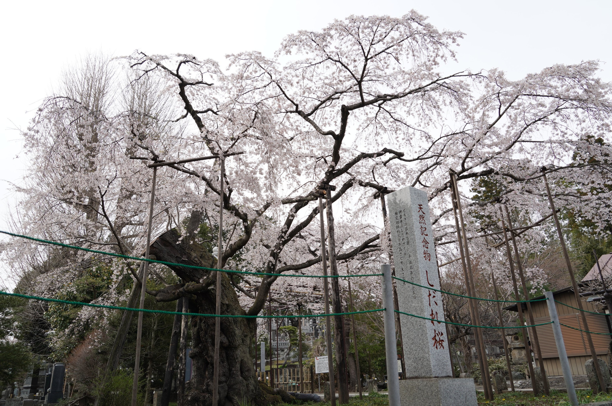 2021年3月27日（土）