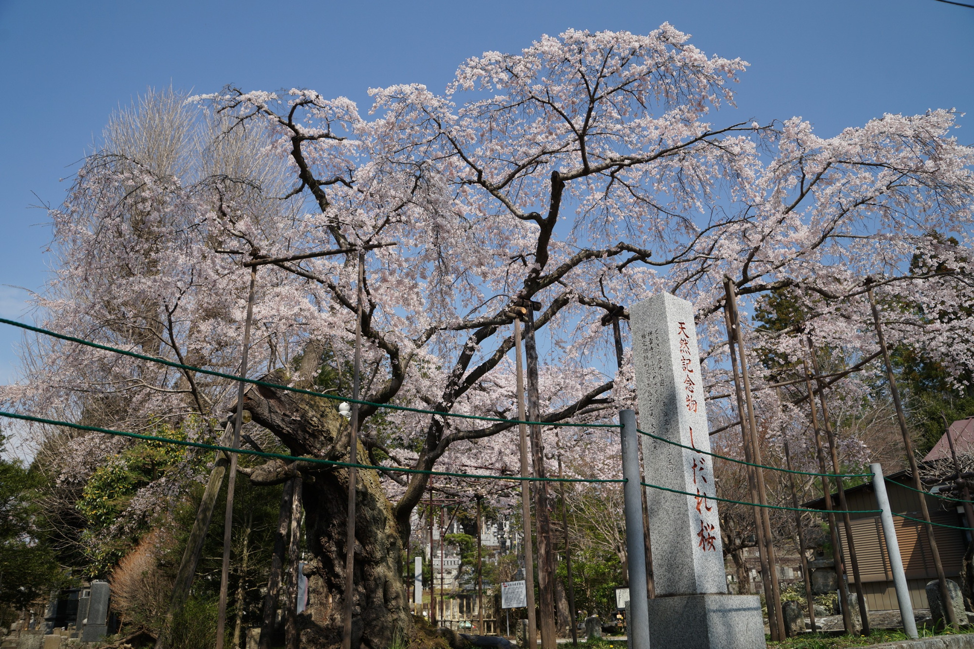 2021年3月26日（金）