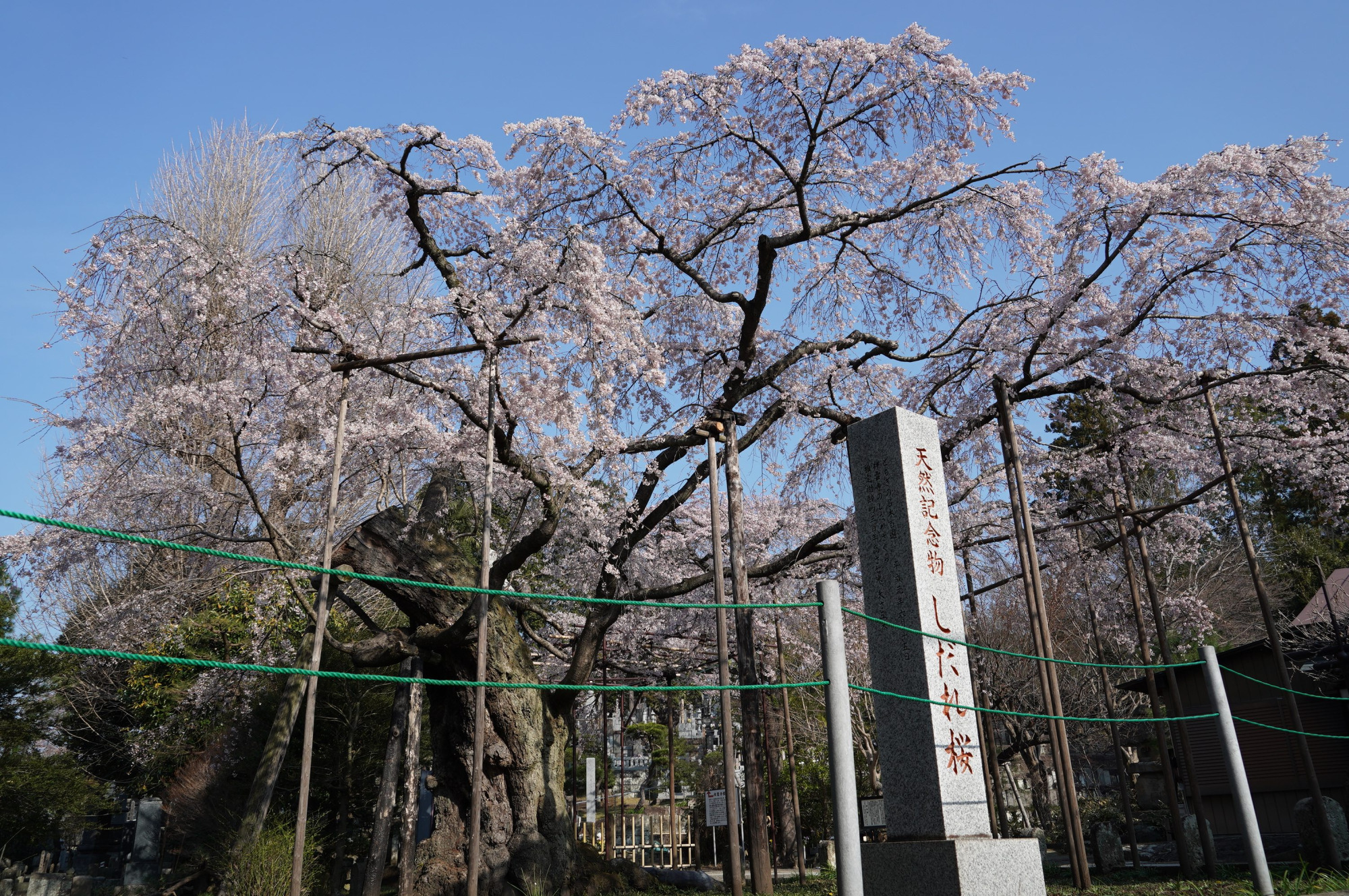 2021年3月25日（木）
