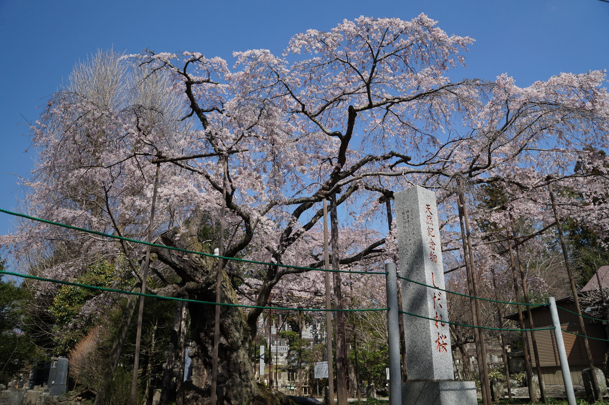 2021年3月24日（水）