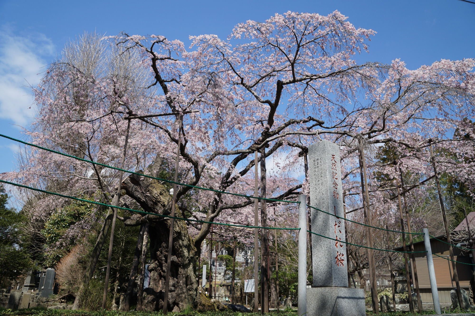 2021年3月23日（火）