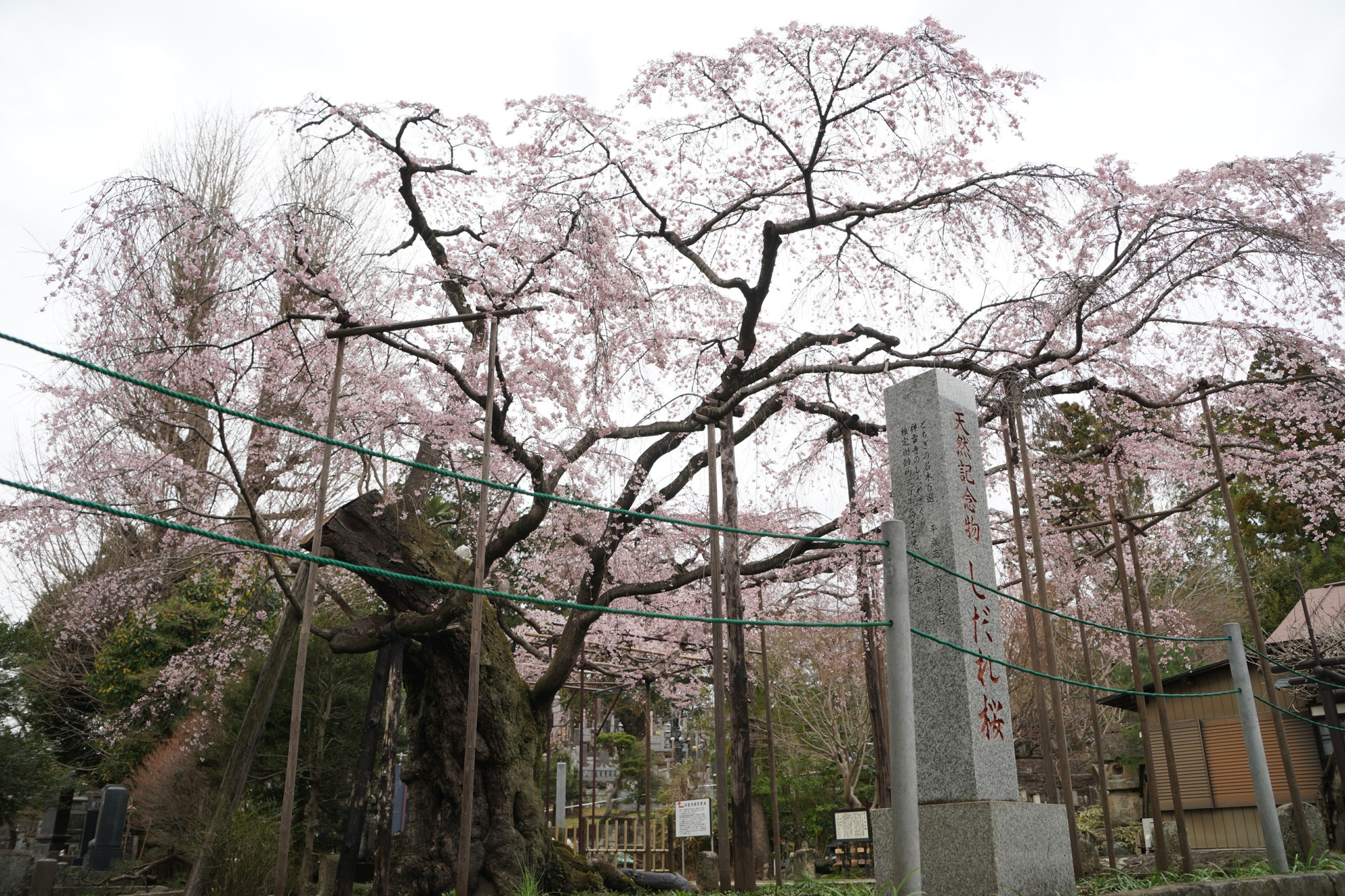 2021年3月22日（月）
