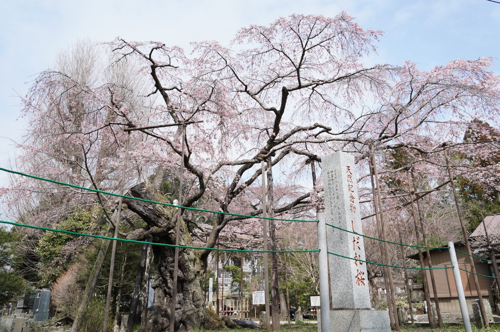 2021年3月20日（土）