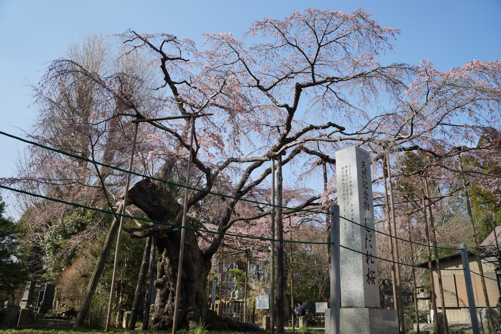 2021年3月19日（金）