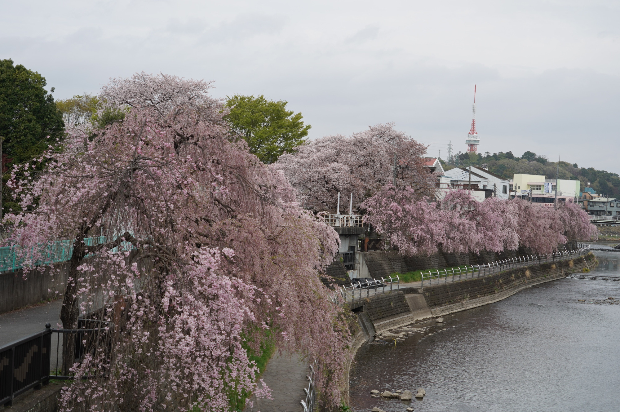 2021年4月4日（日）