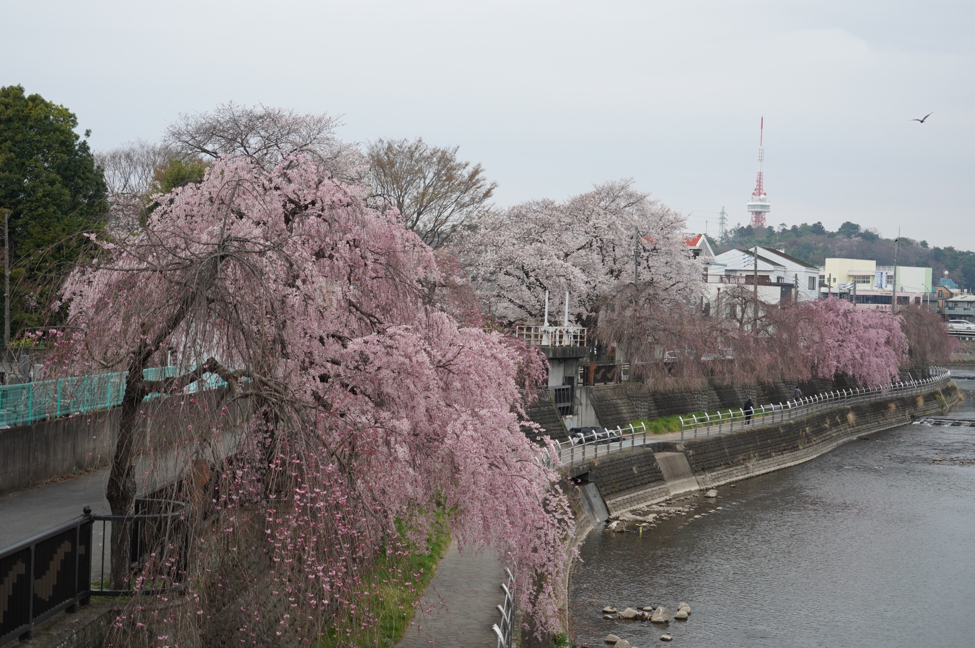2021年3月28日（日）