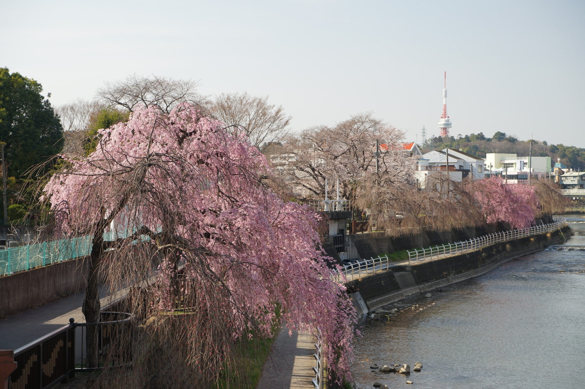 2021年3月24日（水）