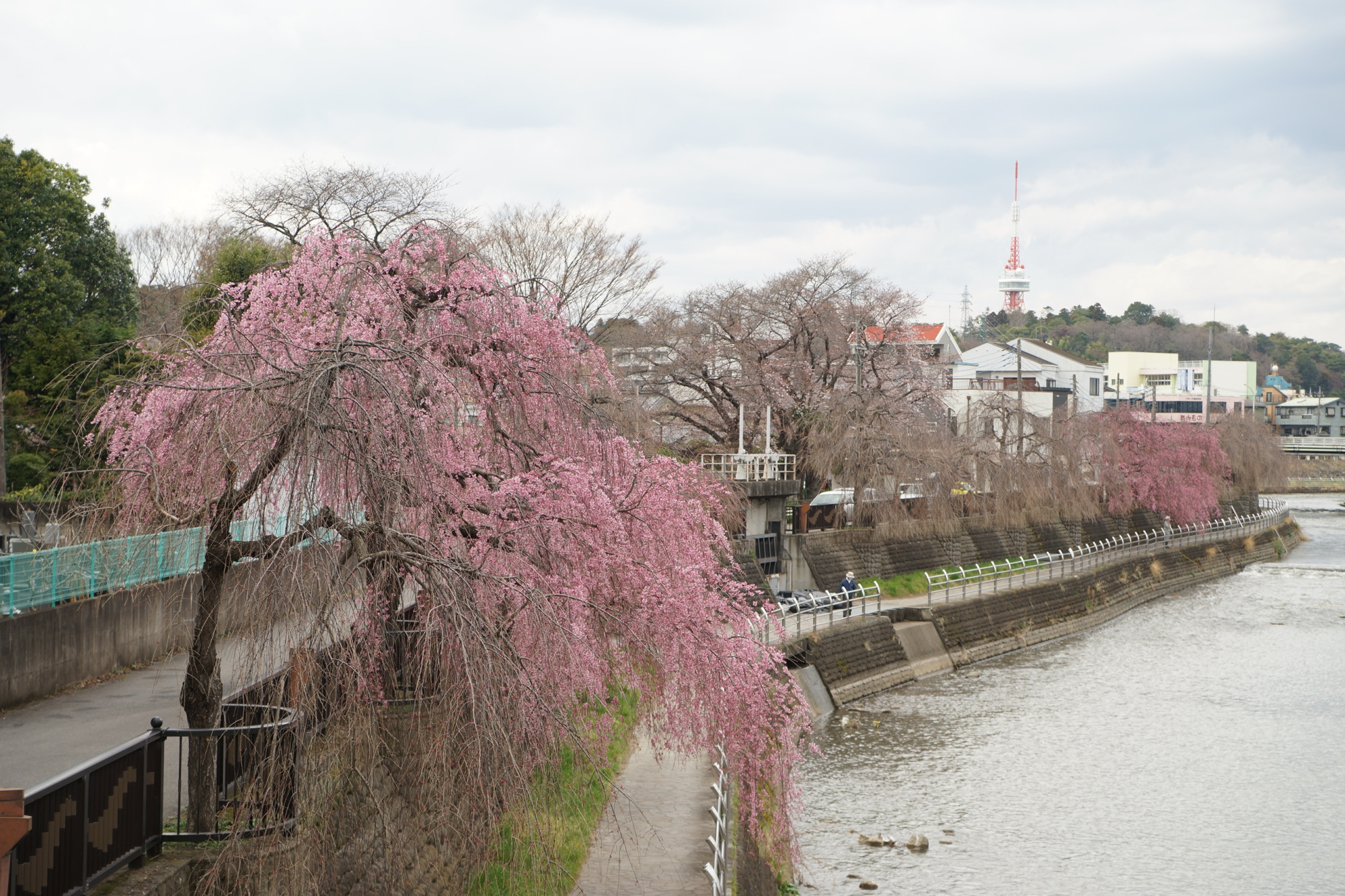 2021年3月22日（月）