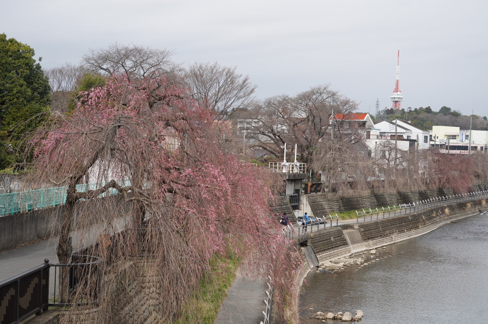 2021年3月20日（土）